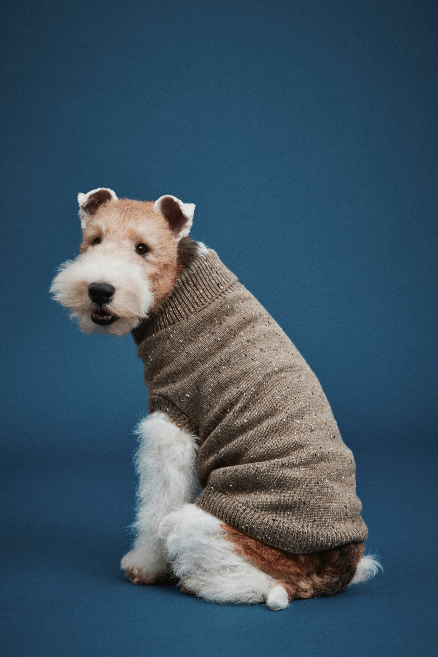 Fine-knit dog jumper - Beige marl/Grey marl/Dark beige marl/Dark brown - 3