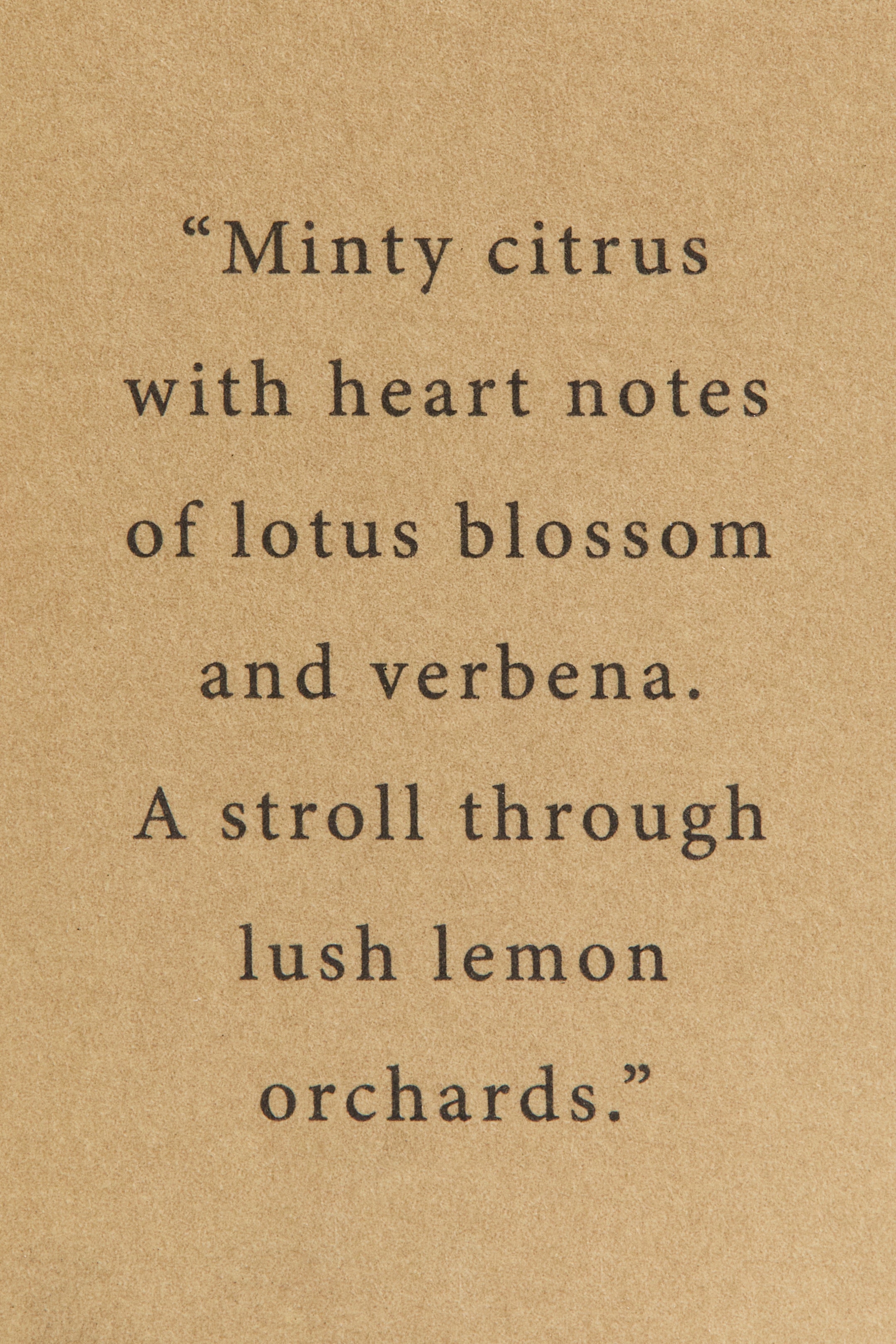 Reed Diffuser