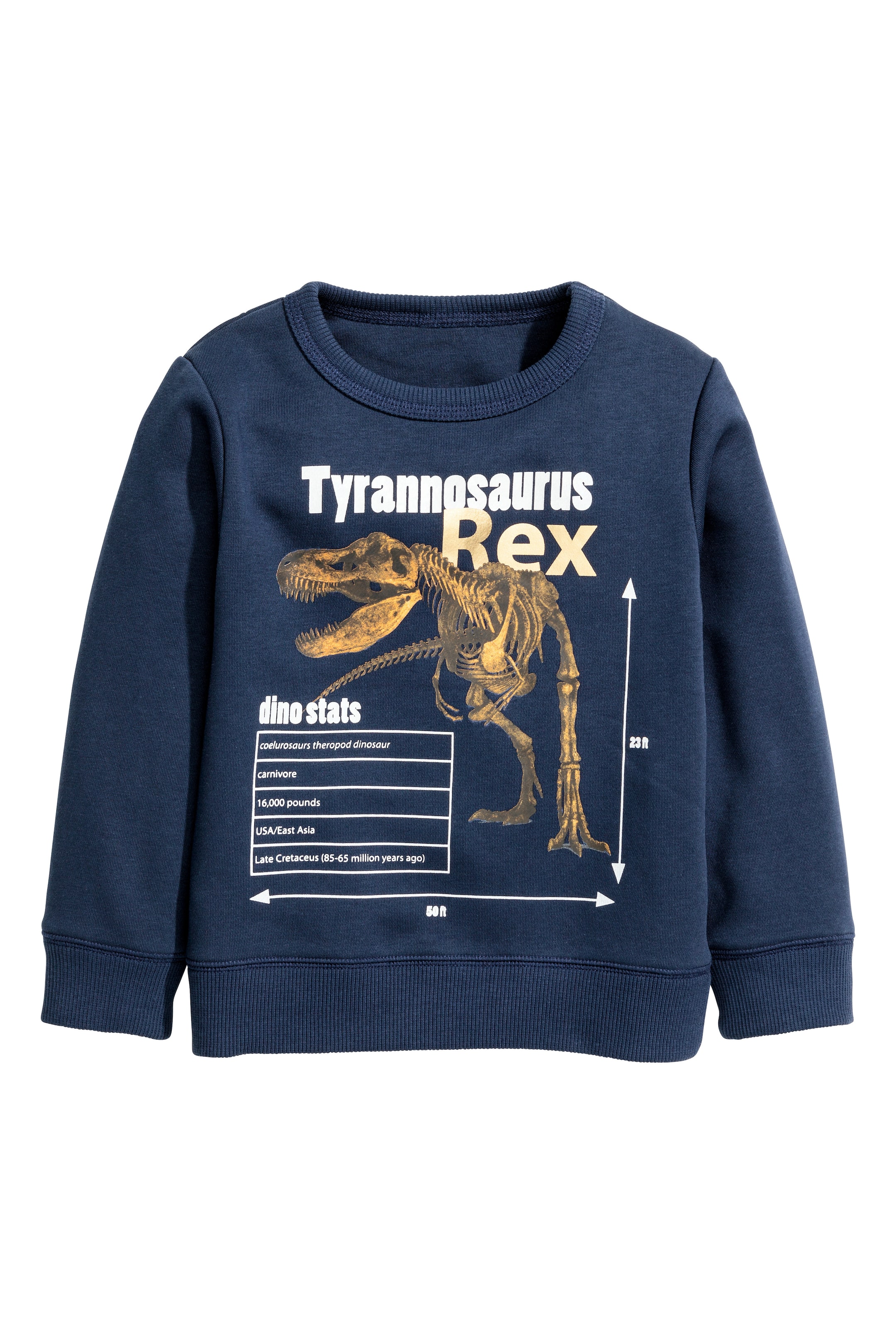 View larger image: Printed sweatshirt - Dark blue/Dinosaur - Kids | H&M GB 1