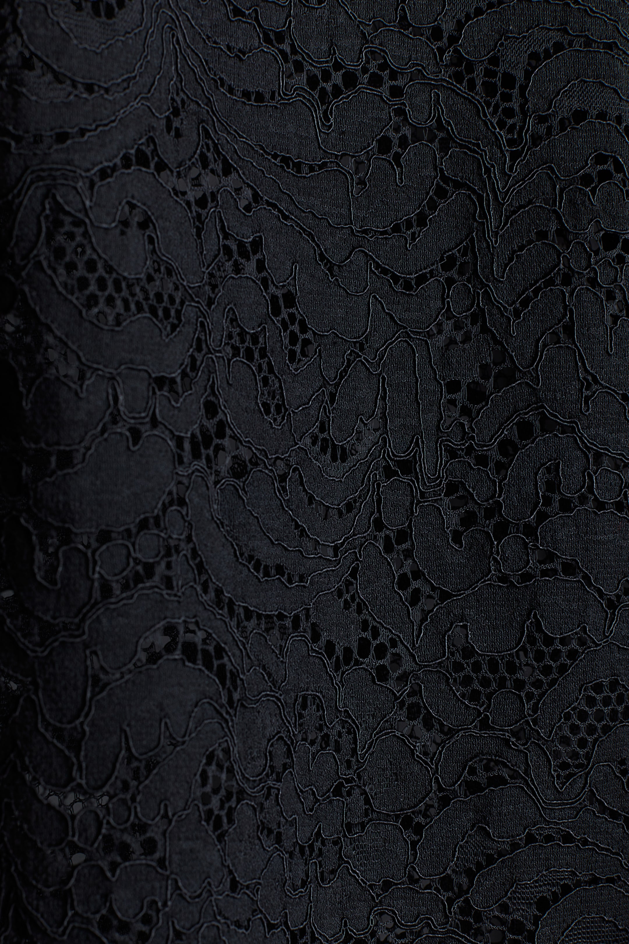 View larger image: Turtleneck lace dress - Black | H&M PH 7