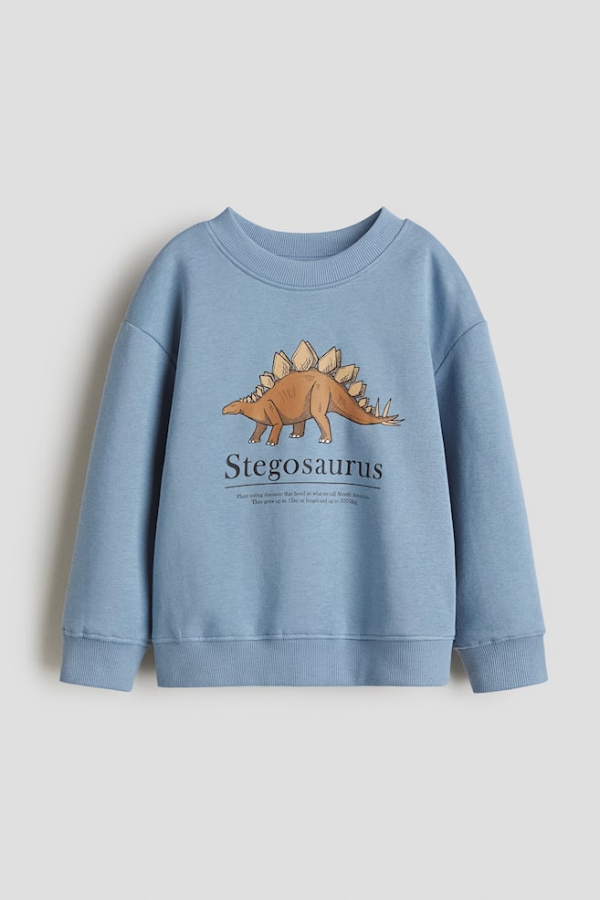 Sweatshirt - Blue/Stegosaurus/Light blue/Together/Green/92/Black/eyes - 1