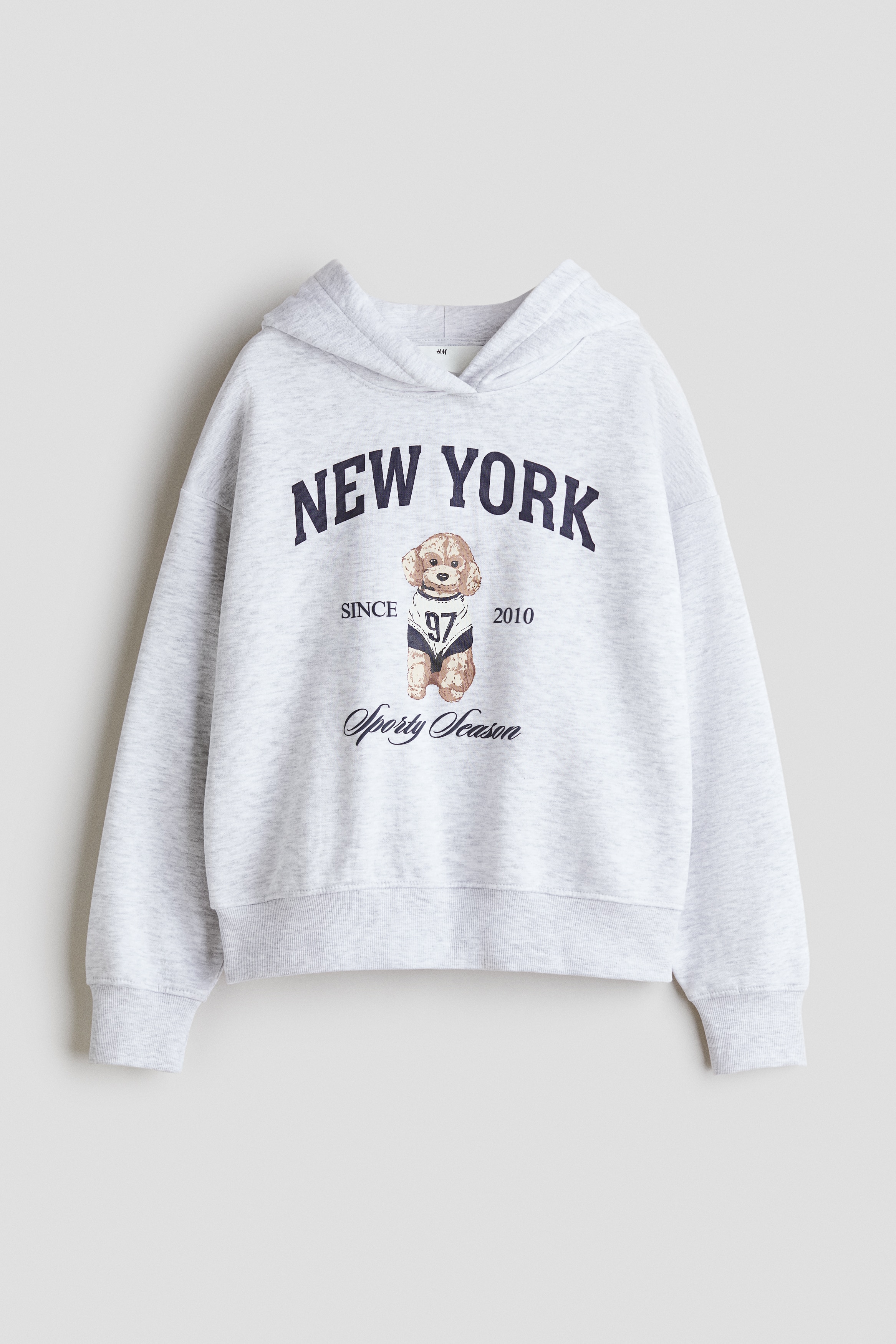 Brushed-Inside Hoodie with Motif - Light gray melange/New York