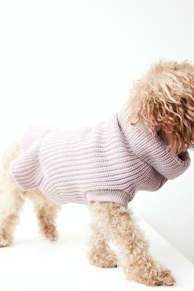 Frill-trimmed dog jumper - Dusty pink - 3
