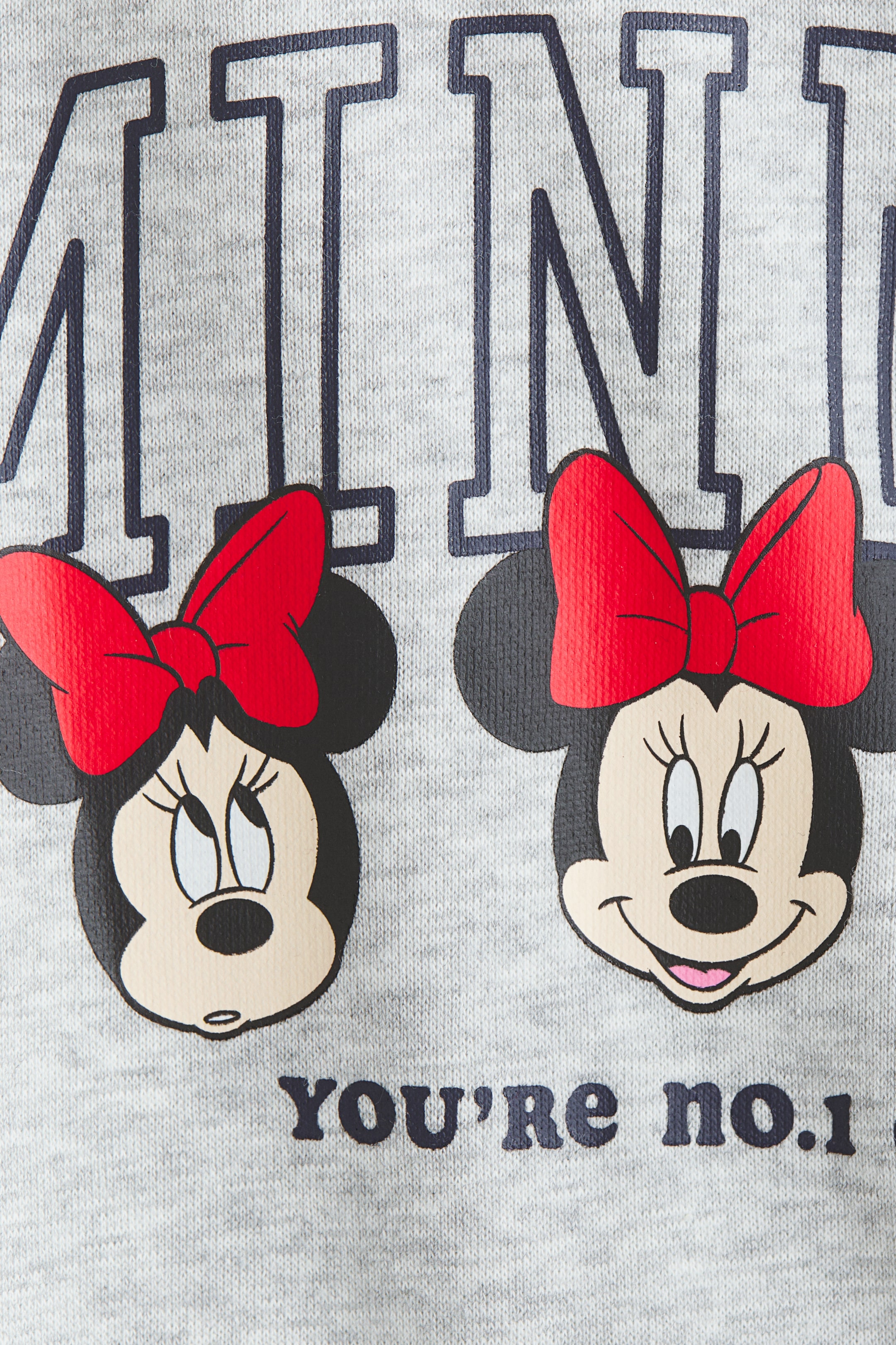 Printed Brushed-Inside Sweatshirt