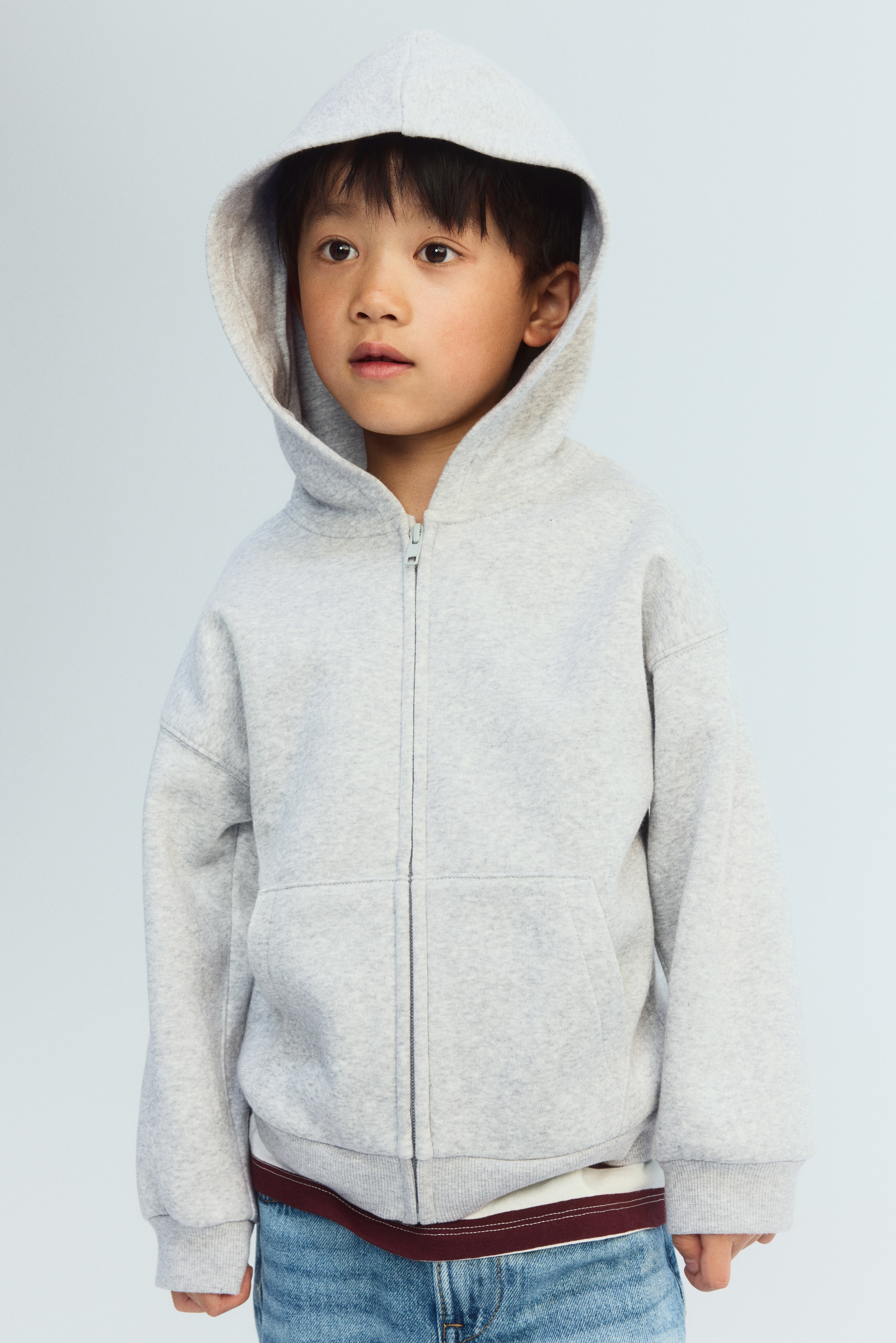 Zip-through brushed-inside  hoodie - Gris claro jaspeado/Azul marino/Beige/Azul claro