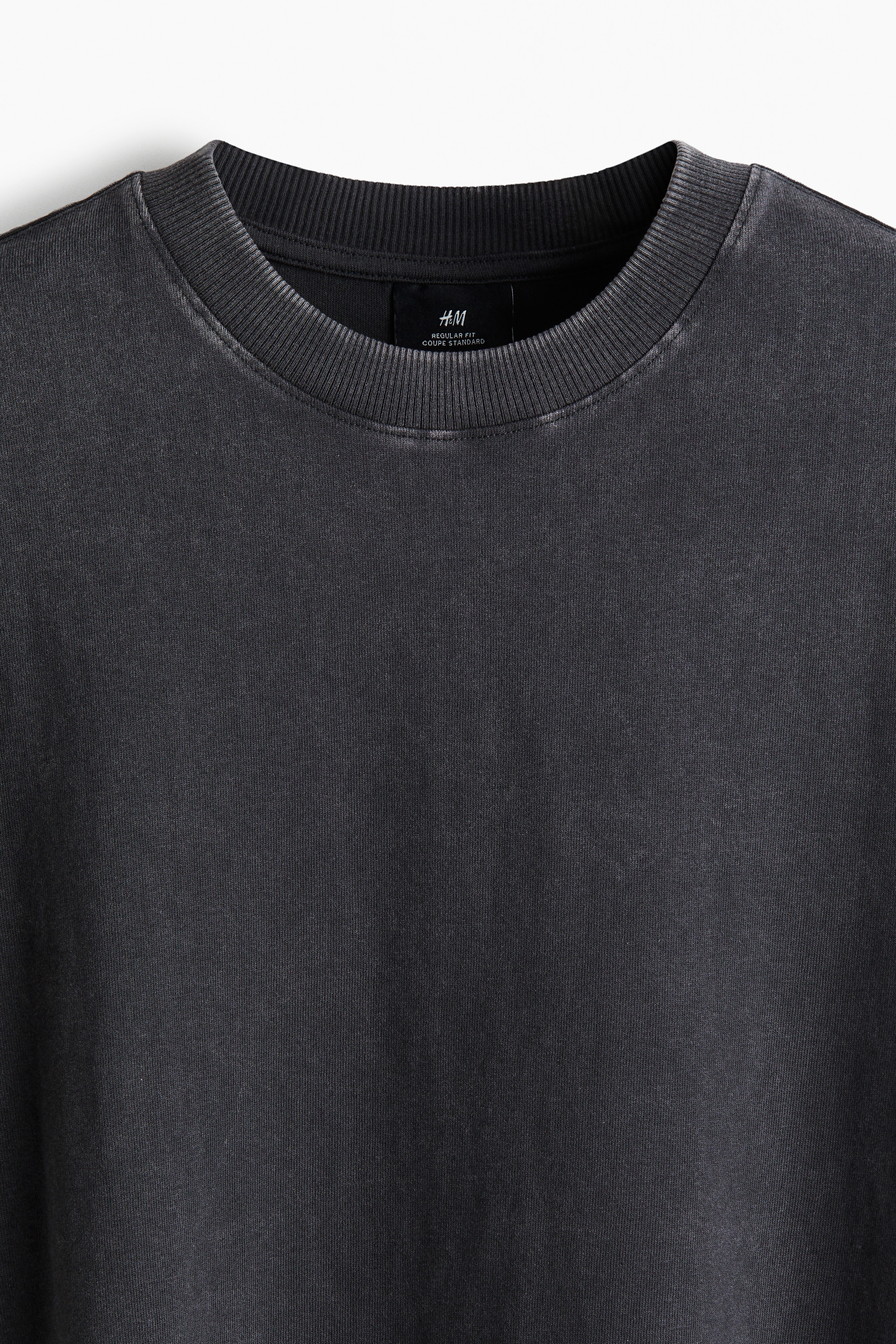 Regular Fit Washed T-shirt