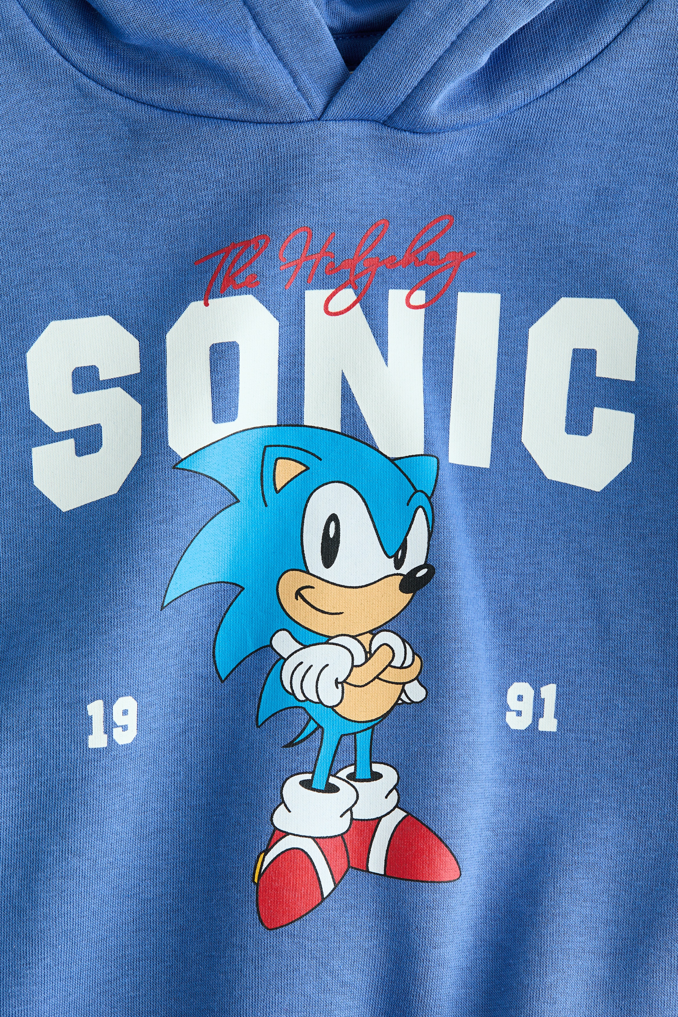 Blue/Sonic the Hedgehog Hoodie with Printed Motif for kids Blue/Sonic the Hedgehog Hoodie with Printed Motif for kids