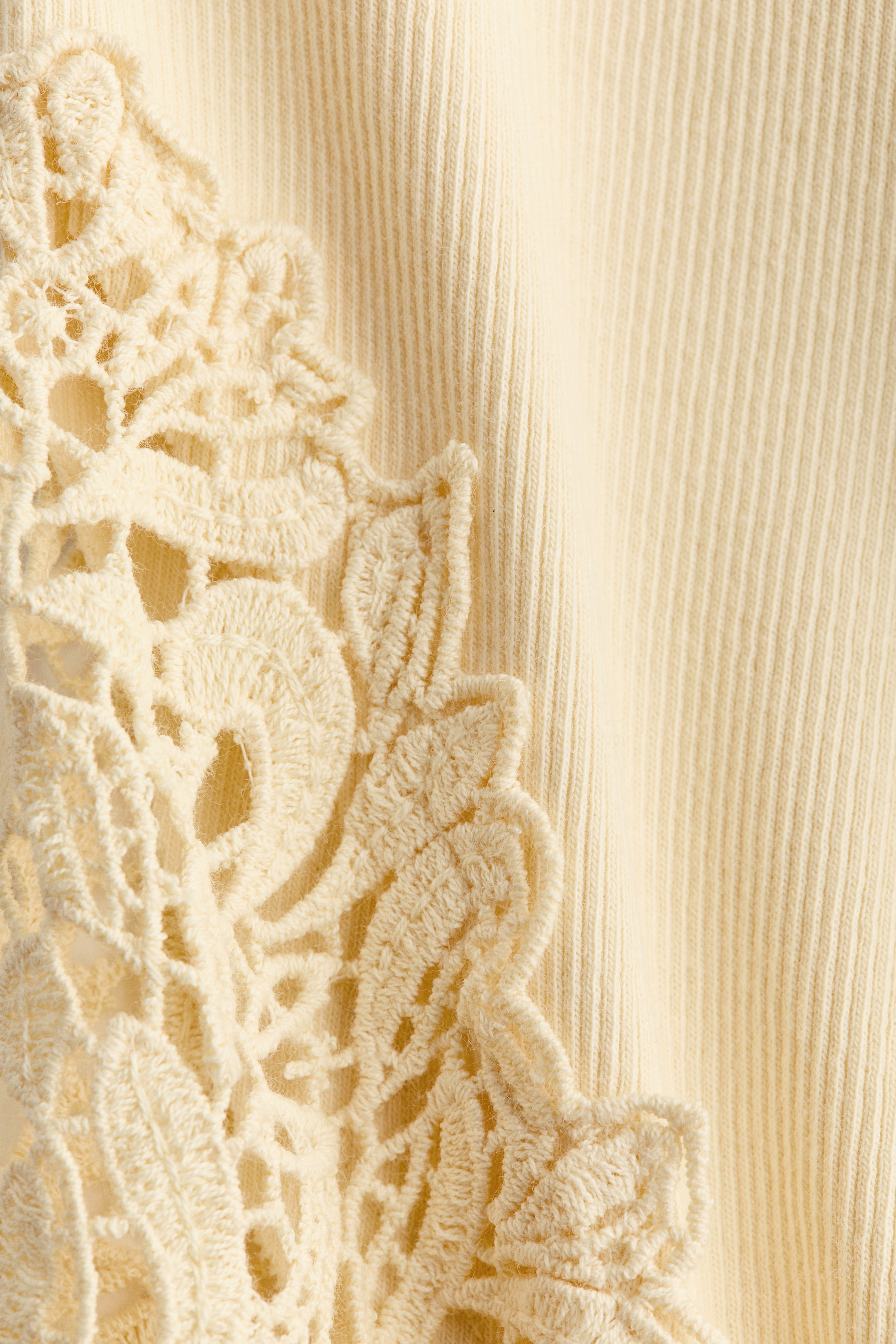 Ribbed Lace-Inset Top
