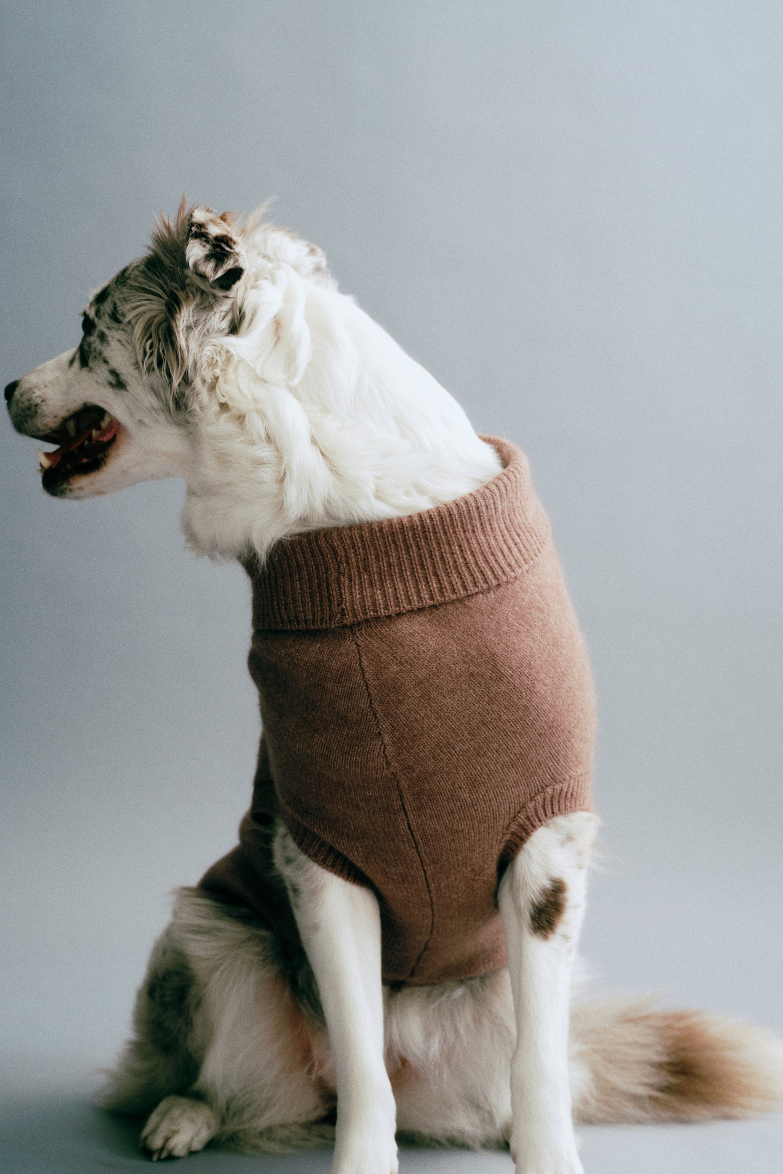 Женский свитер H&M Fine-Knit Dog, цвет: Тёмный бежевый — фото 3