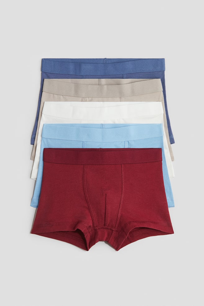 5-pack trunks - Blue/Red/Navy blue/Green/Light blue/Dark grey - 1