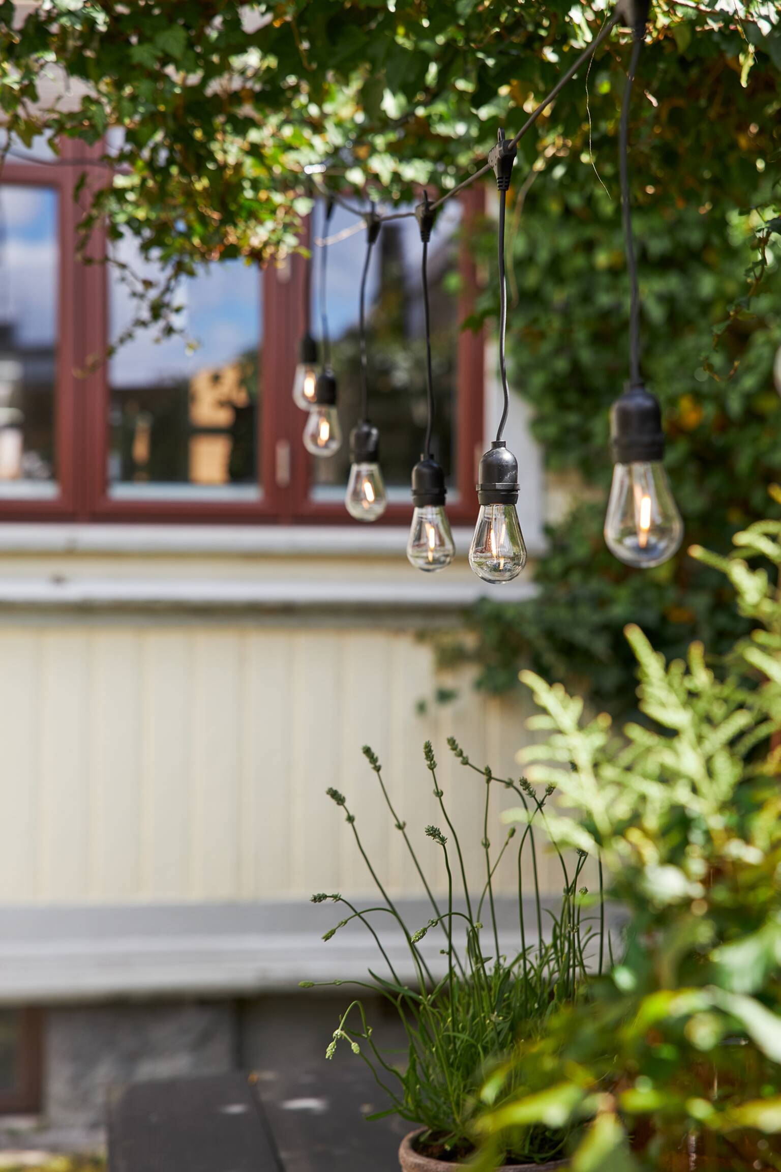 Lichterkette String Light 10 Led Indoor/outdoor - Transparent - 4