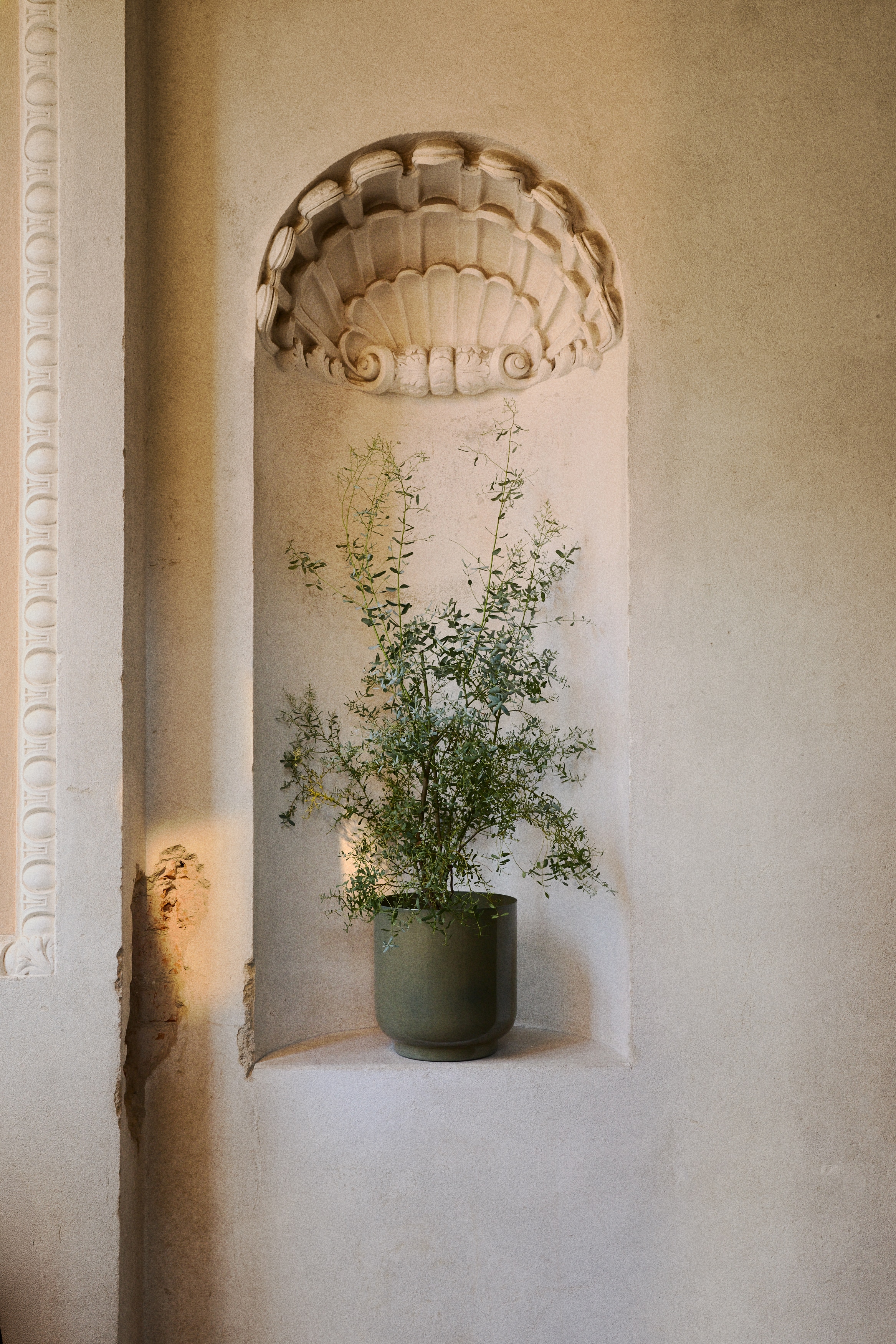 Izuzetno velika metalna saksija - Kaki zelena/Bež/Tamnosmeđa