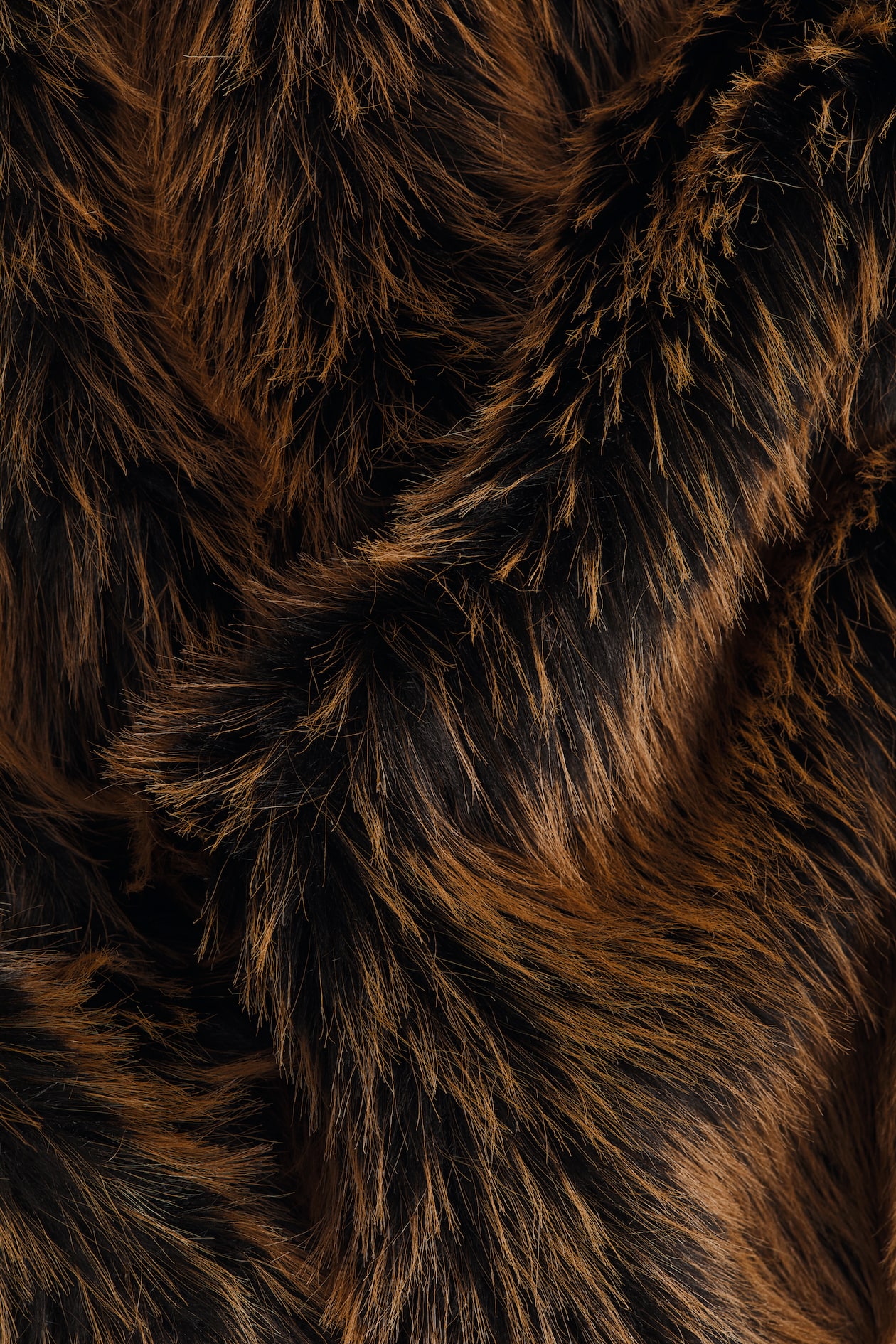Fluffy Coat - image 5