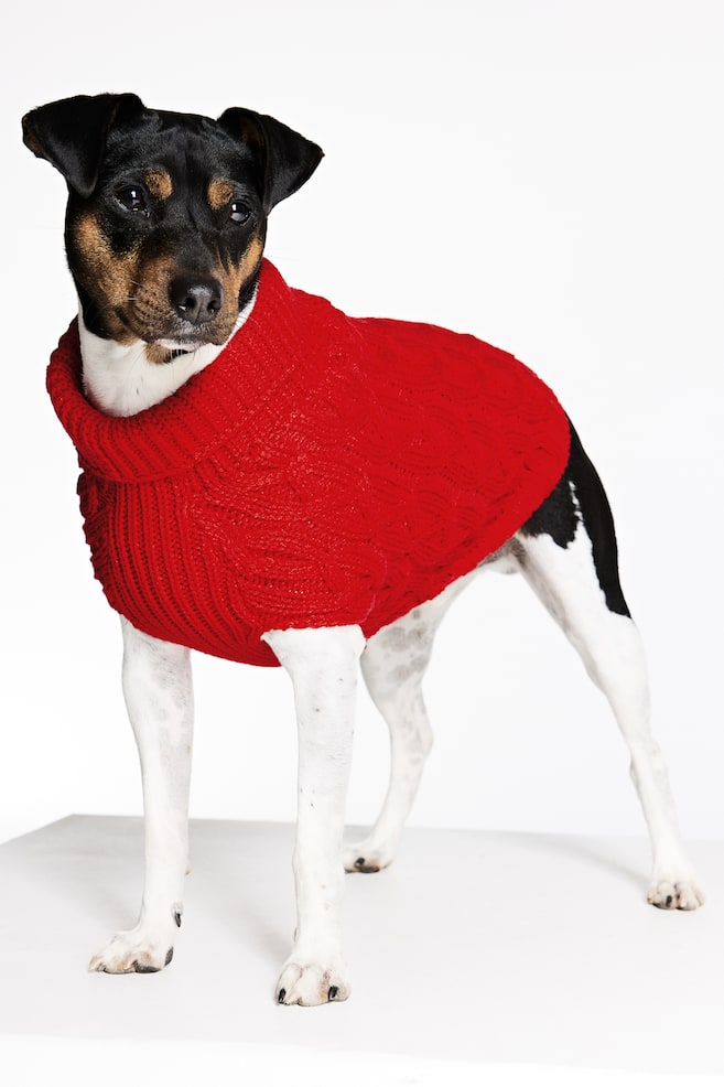 Cable-knit dog jumper - Red/Light beige/Grey marl/Bright blue - 1