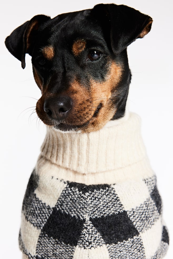 Jacquard-knit dog jumper - Beige/Checked - 5