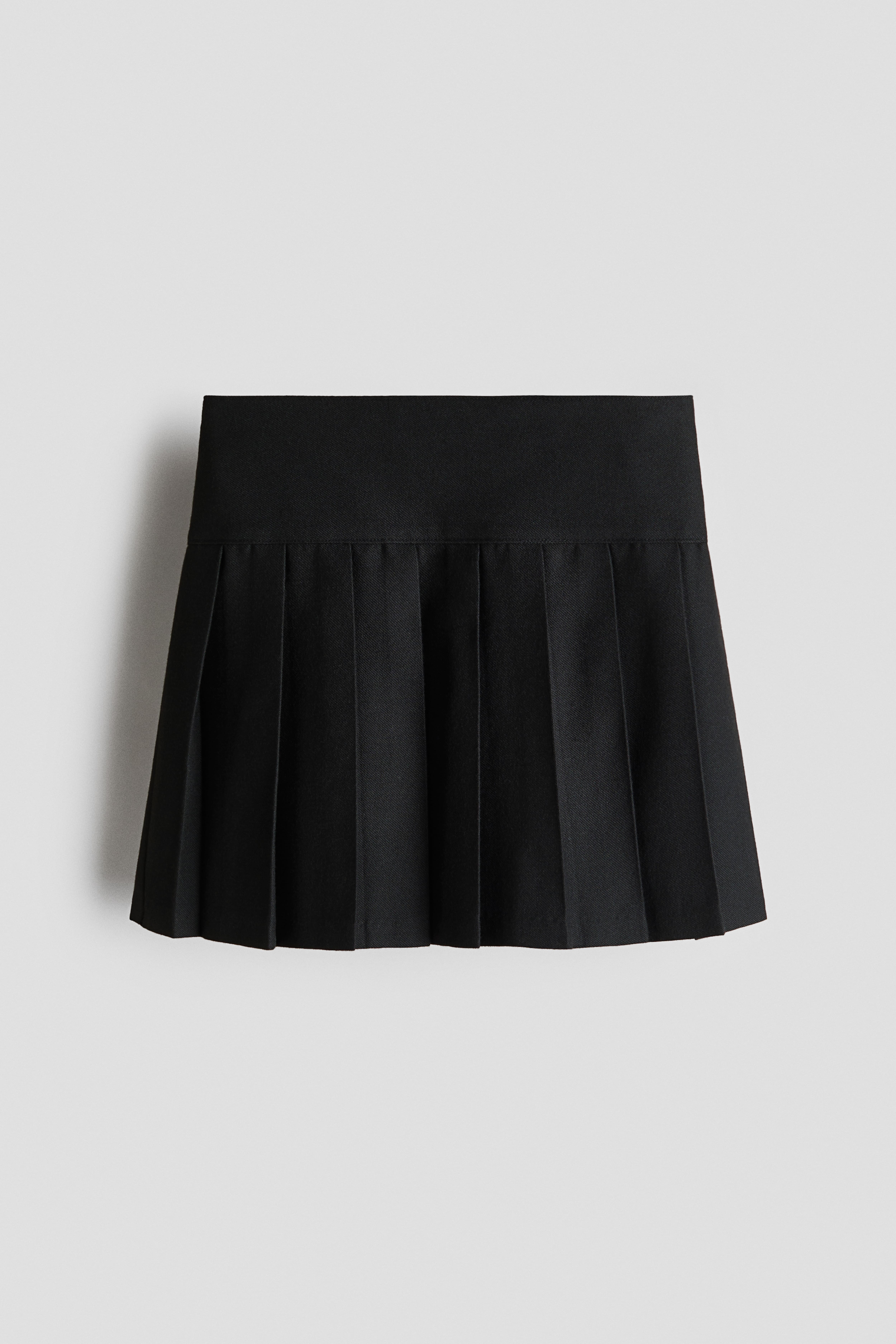 Pleated Skirt