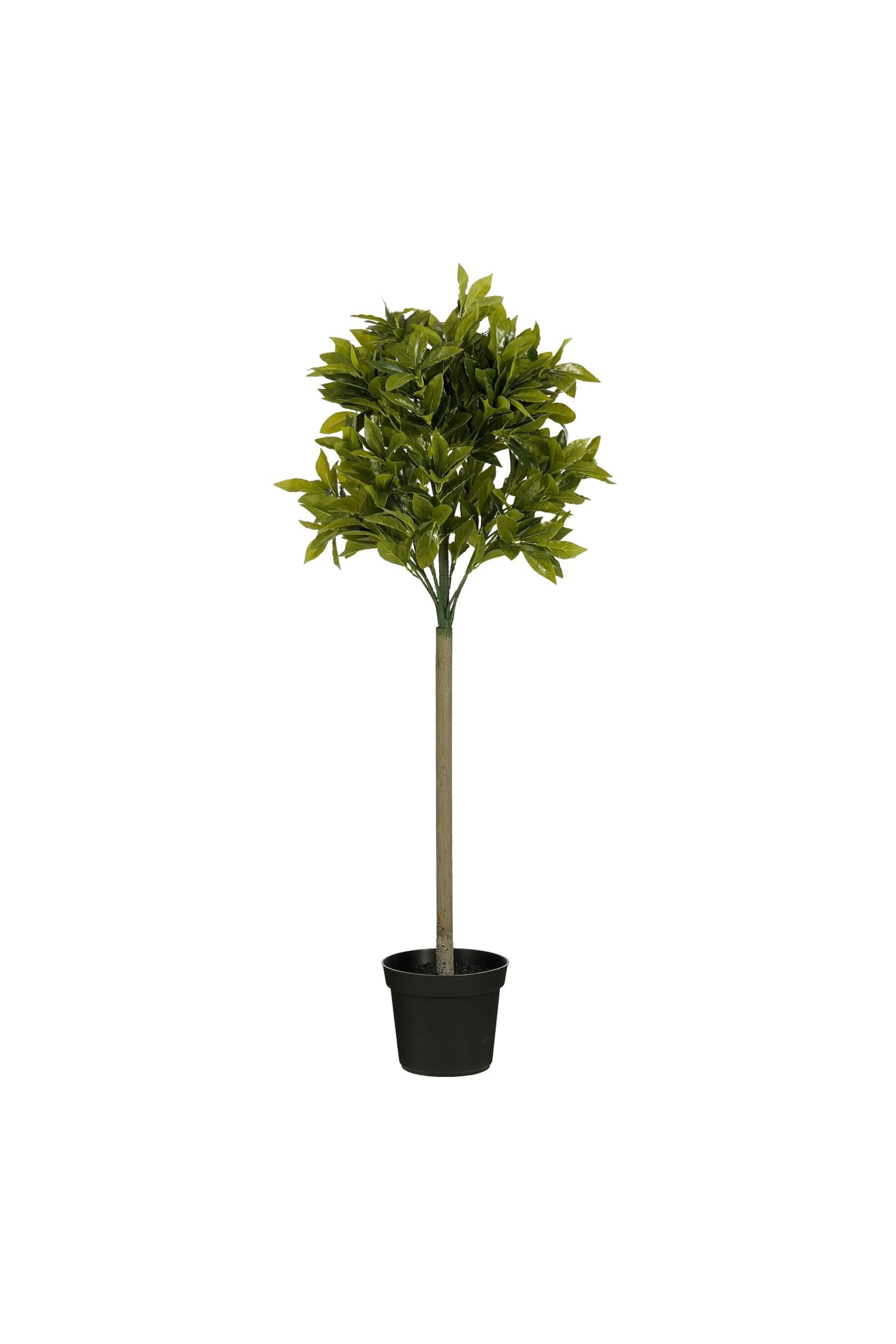 Visa större bild: Laurel Tree Artificial Plant - Green - Mica Decorations - Home All | H&M FI 1