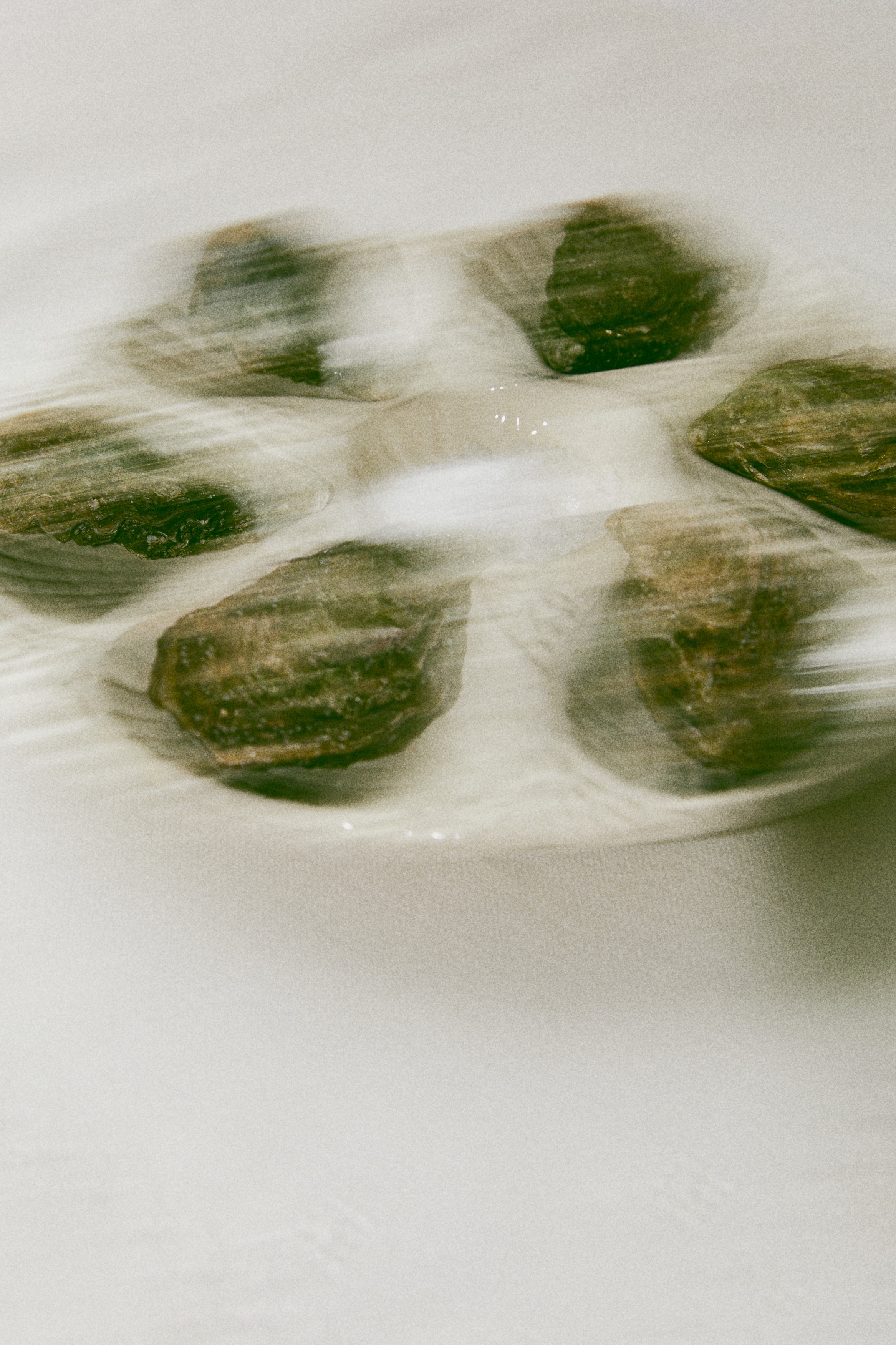 Κεραμικό πιάτο για στρείδια - Ανοιχτό μπεζ