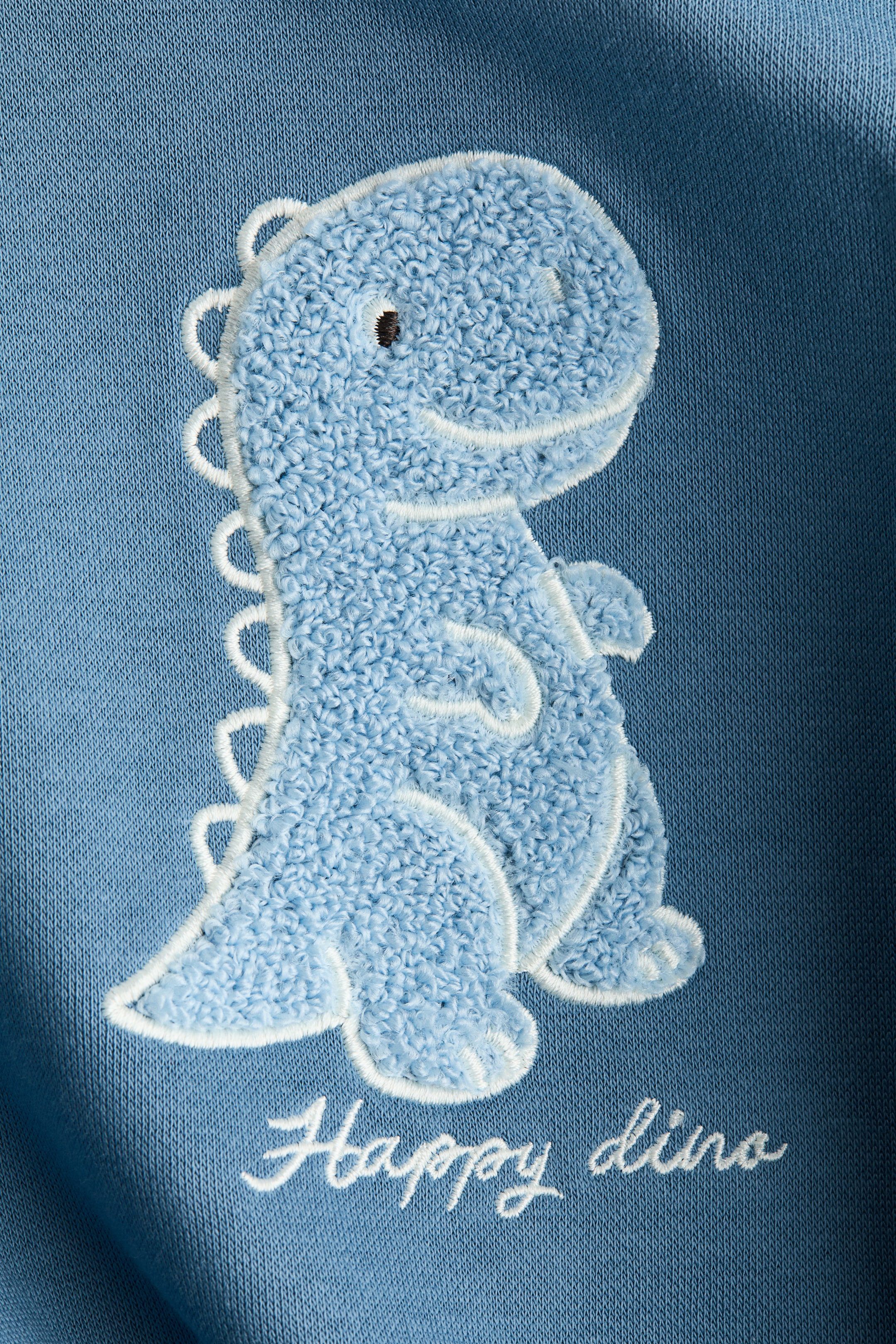 Visualizza immagine più grande: Felpa con motivo decorativo - Blu polvere/dinosauro - BAMBINO | H&M IT 2