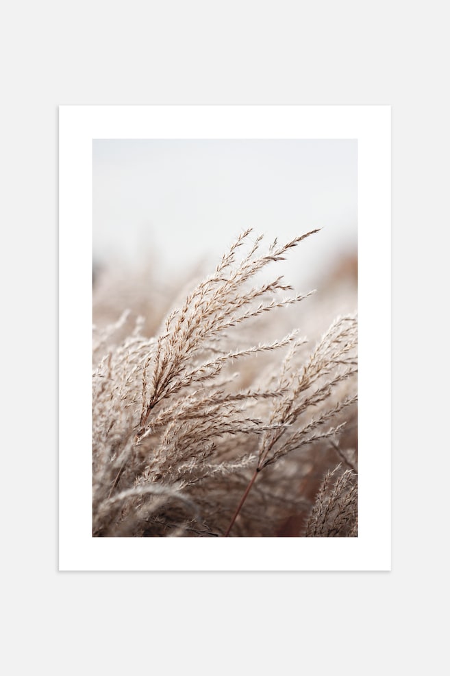 Grasses In The Wind Poster - Beige - 1