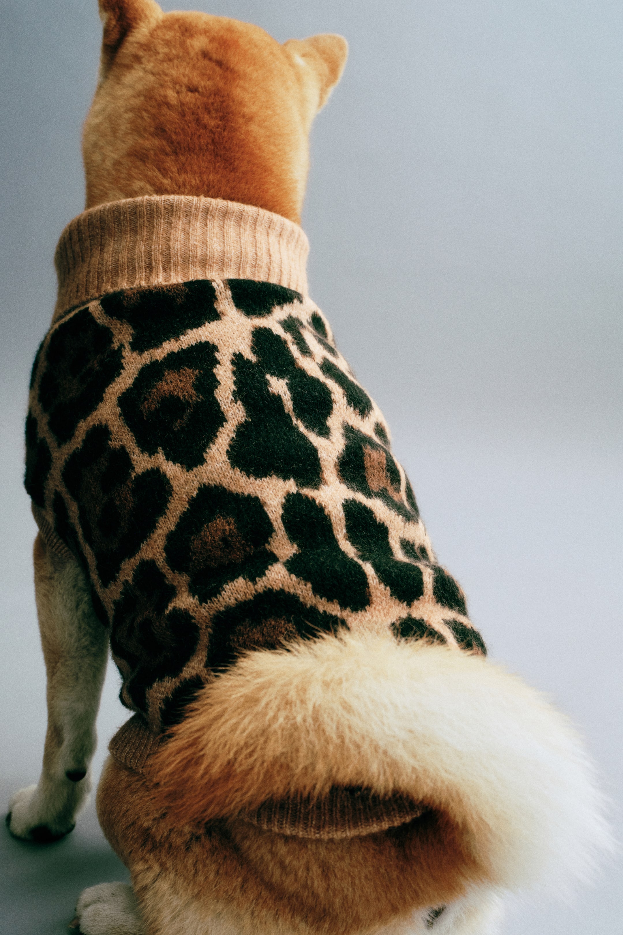 Dog Sweater