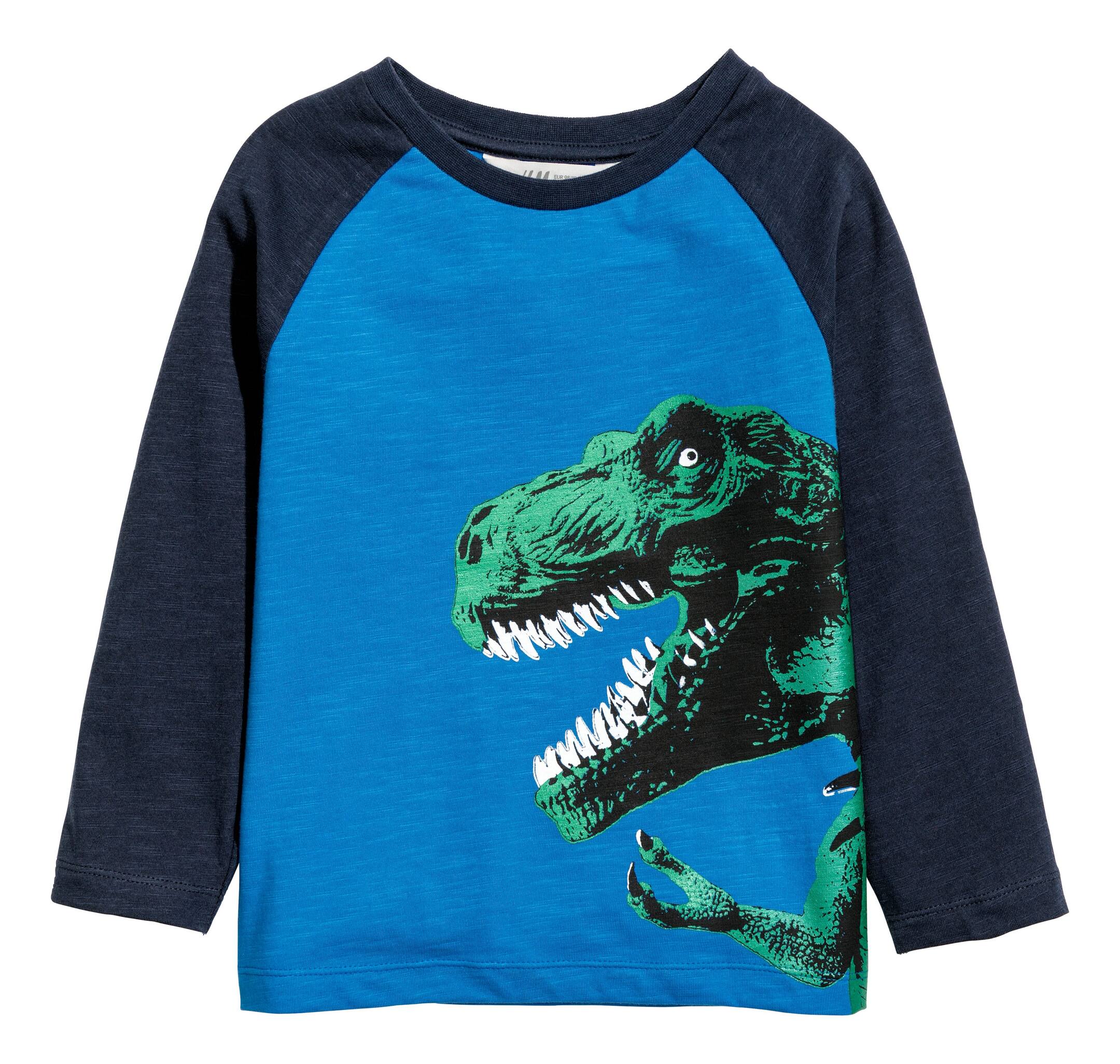 View larger image: Printed Jersey Shirt - Blue/dinosaur - Kids | H&M CA 1