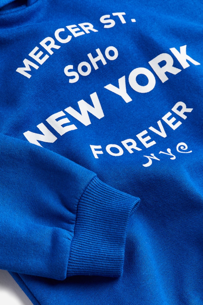 Printed hoodie - Bright blue/New York/Black/Ghosts/Black/Dinosaur/Khaki green/Future/dc/dc - 3