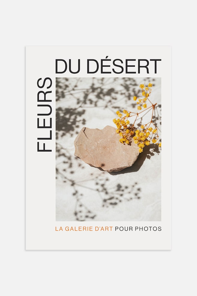 Fleurs Du Desert Poster - White - 1