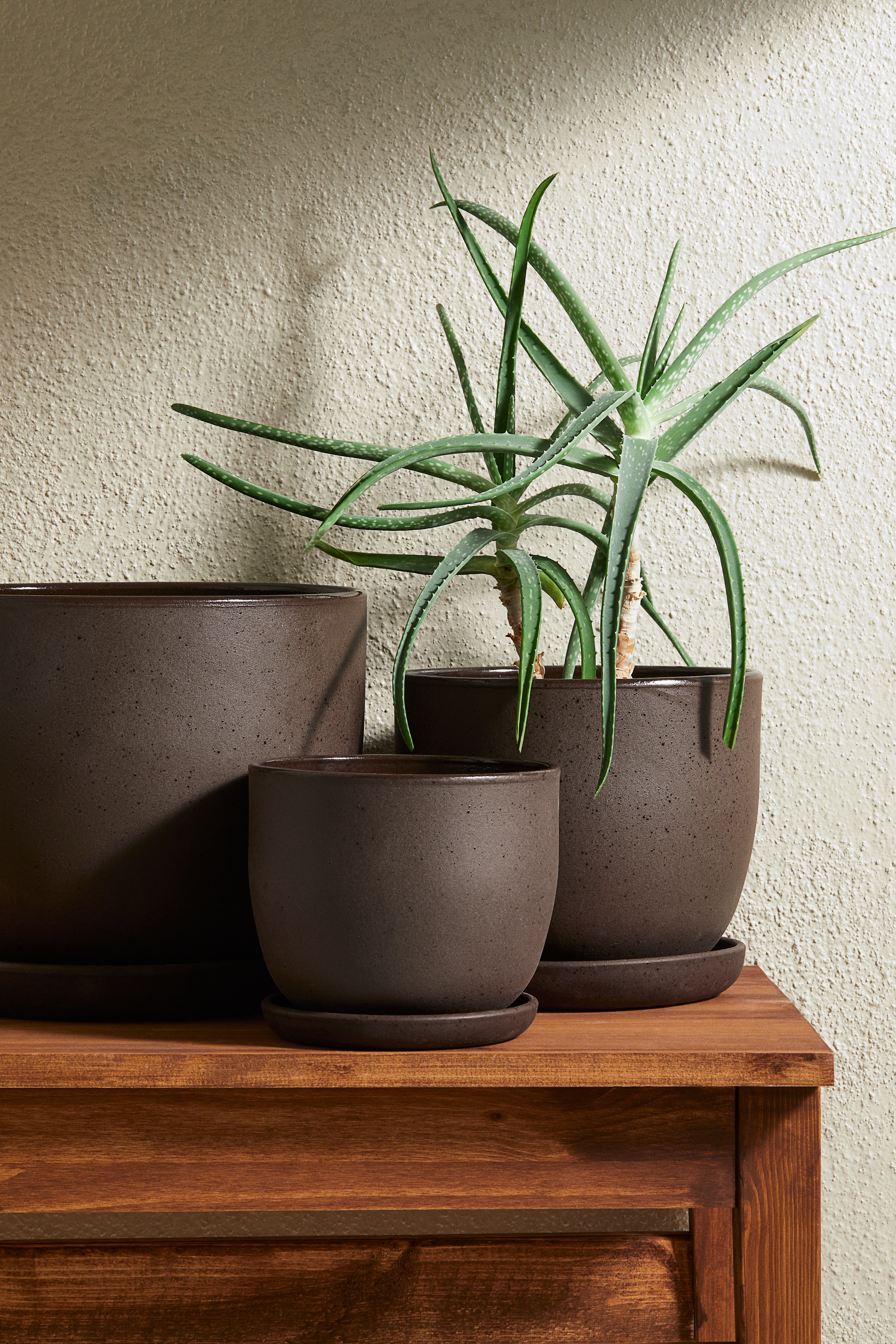 H&O.cp Plants pot TYPE-001：L（口径φ17cm）