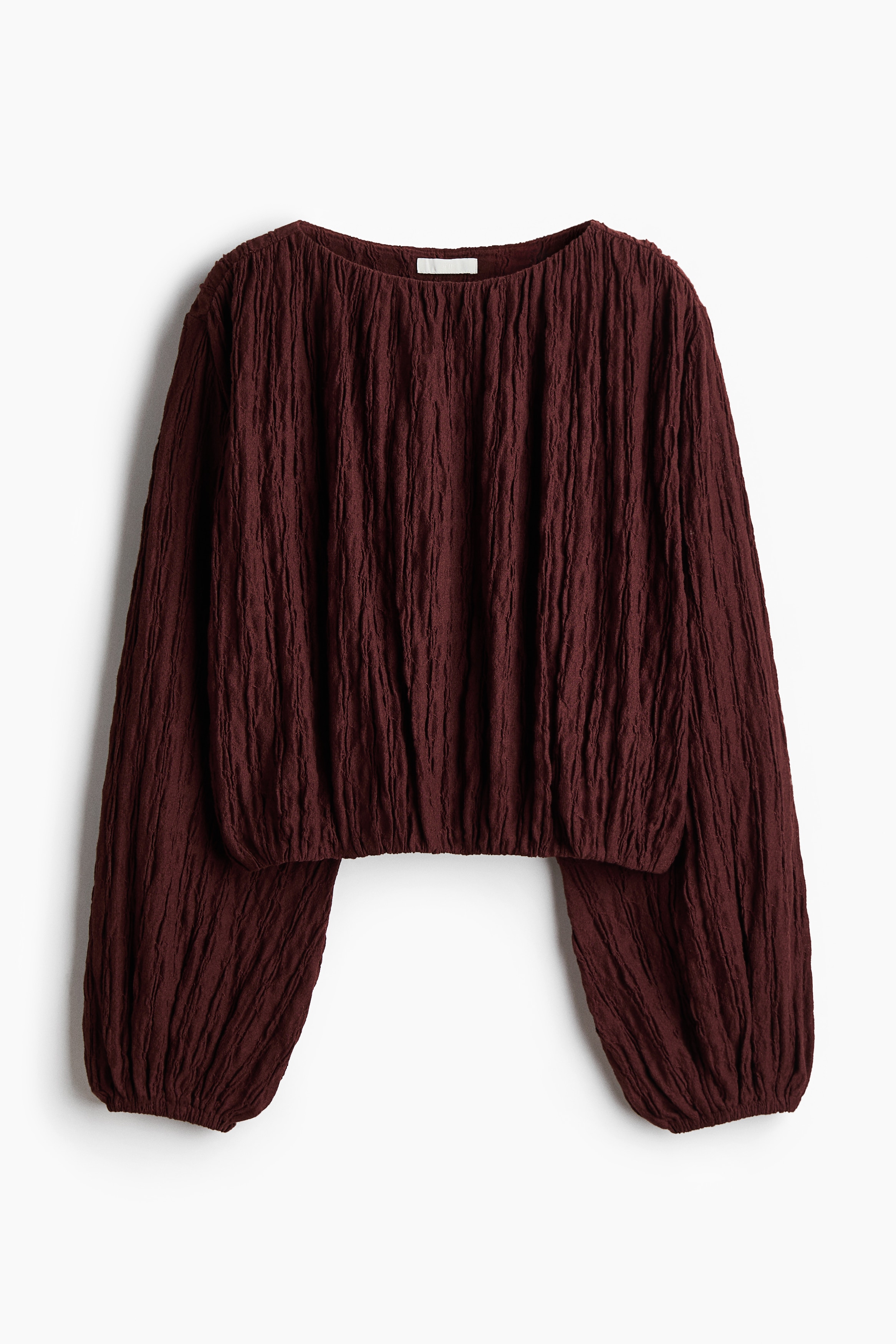 Balloon-Sleeved Top from H&M - $29.99