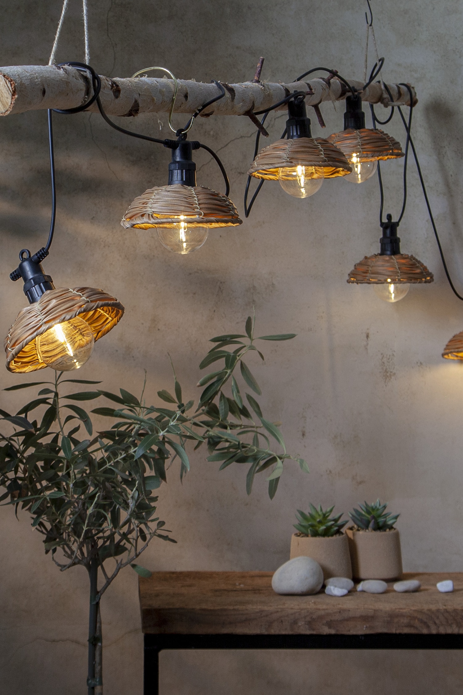 Lichterkette Cesta Drinnen/draußen - Braun