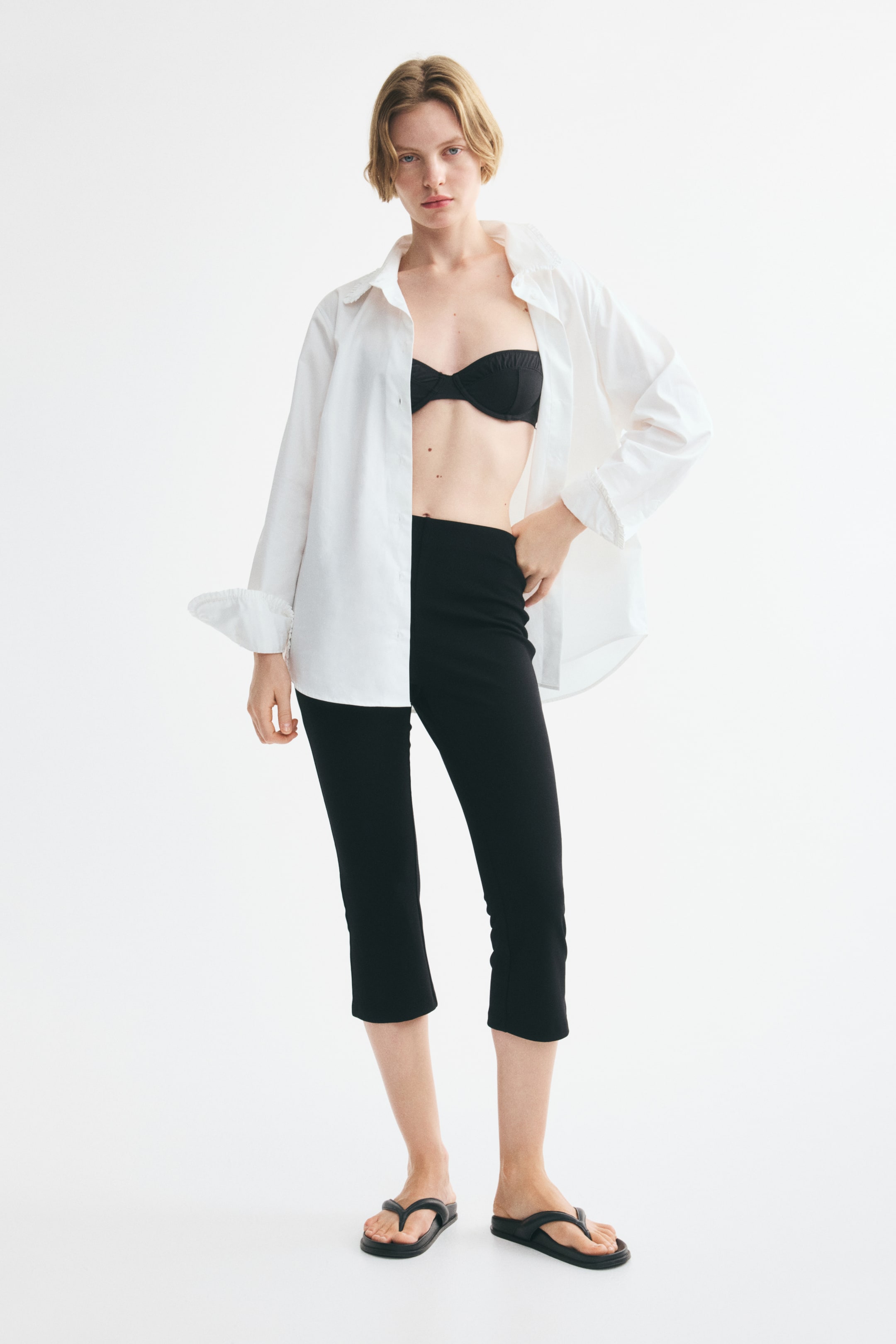 Ponte Capri Pants