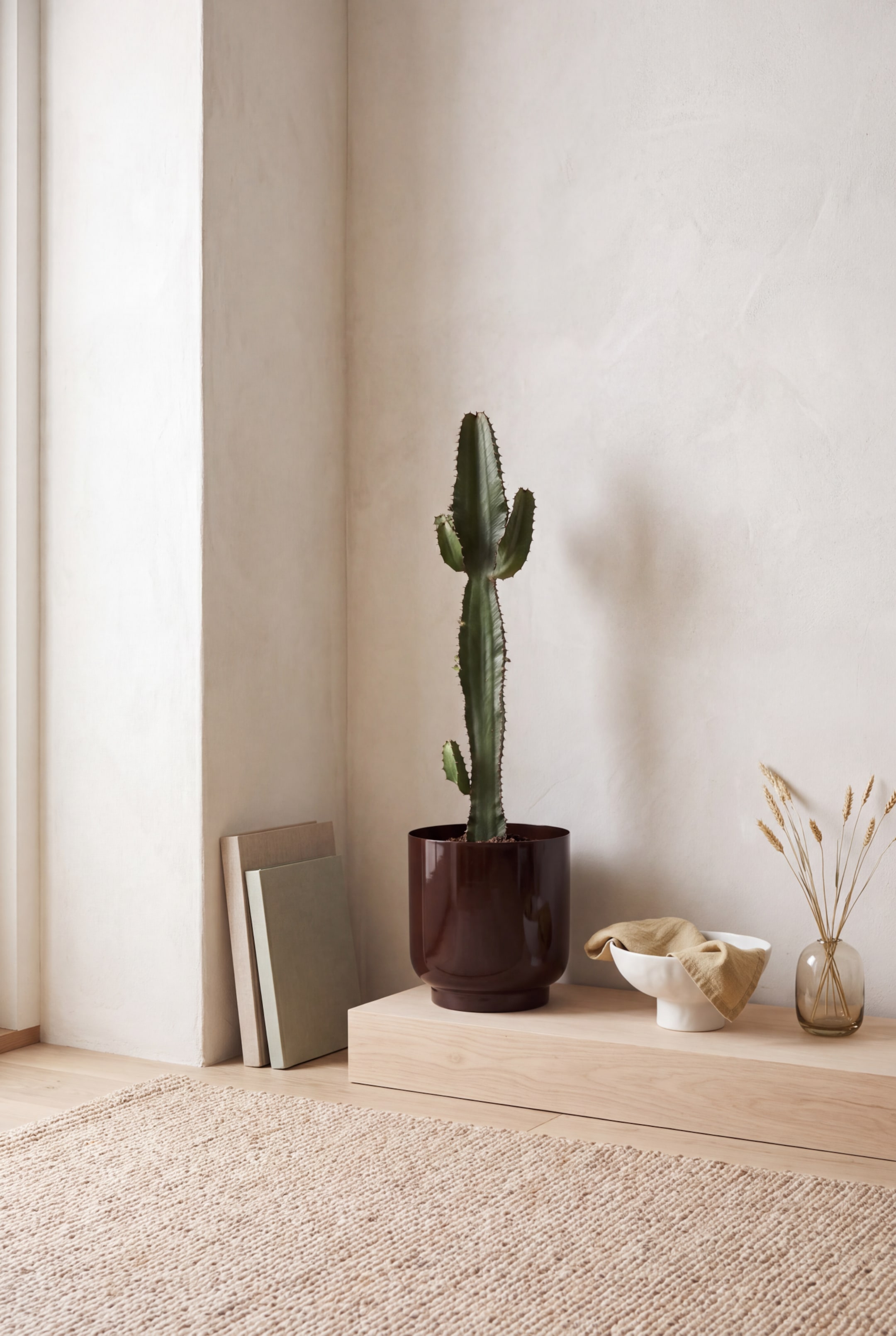 Visualizza immagine più grande: Un vaso cilindrico lucido di colore marrone rossastro intenso, con base a piedistallo incassata, ospita un alto cactus verde a forma colonnare. Il vaso è appoggiato su una panca in legno chiaro, mettendo in risalto la sua superficie liscia e riflettente.