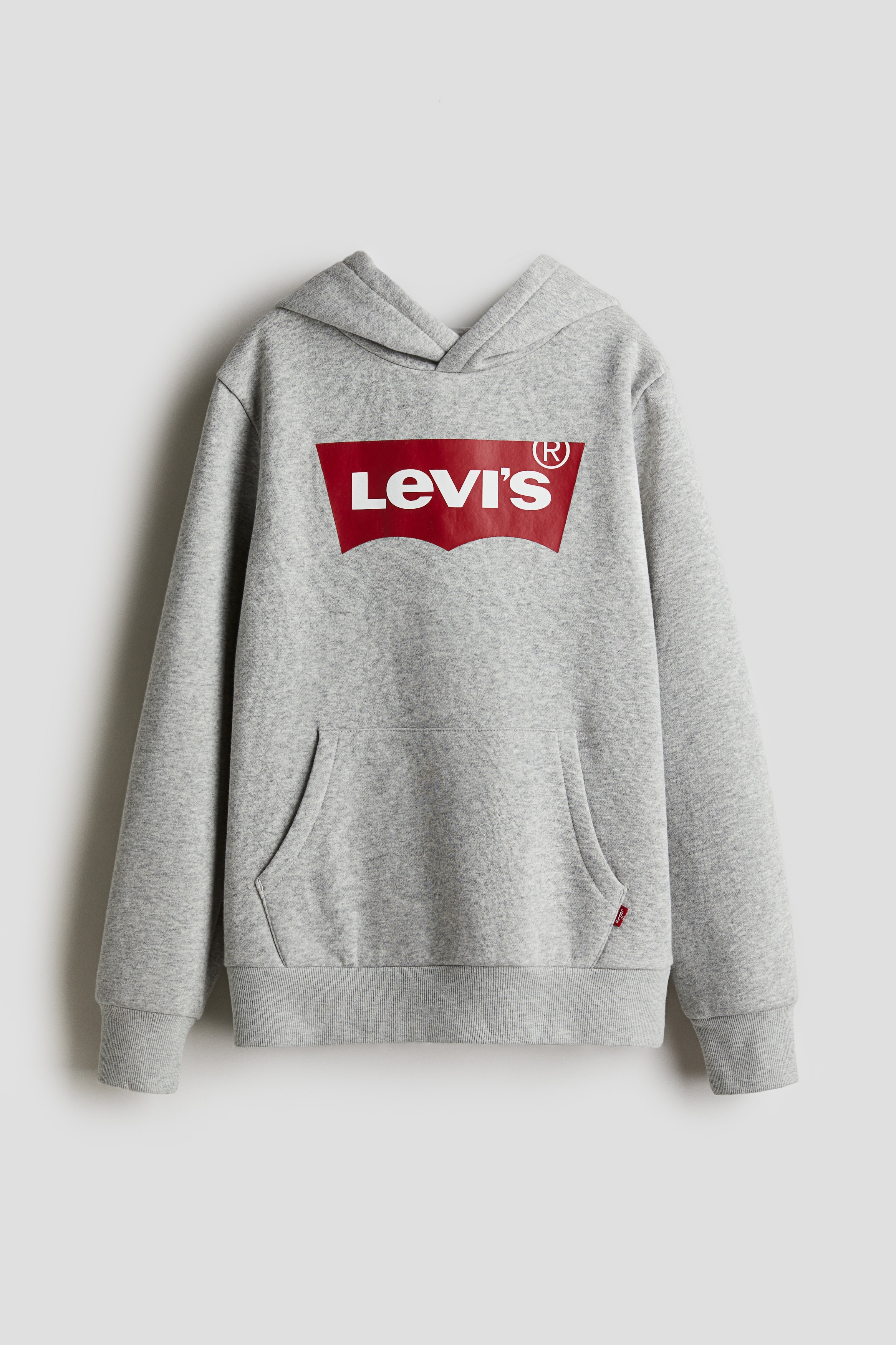 Batwing Screenprint Pullover Hoodie - Hoodie Basic Grey