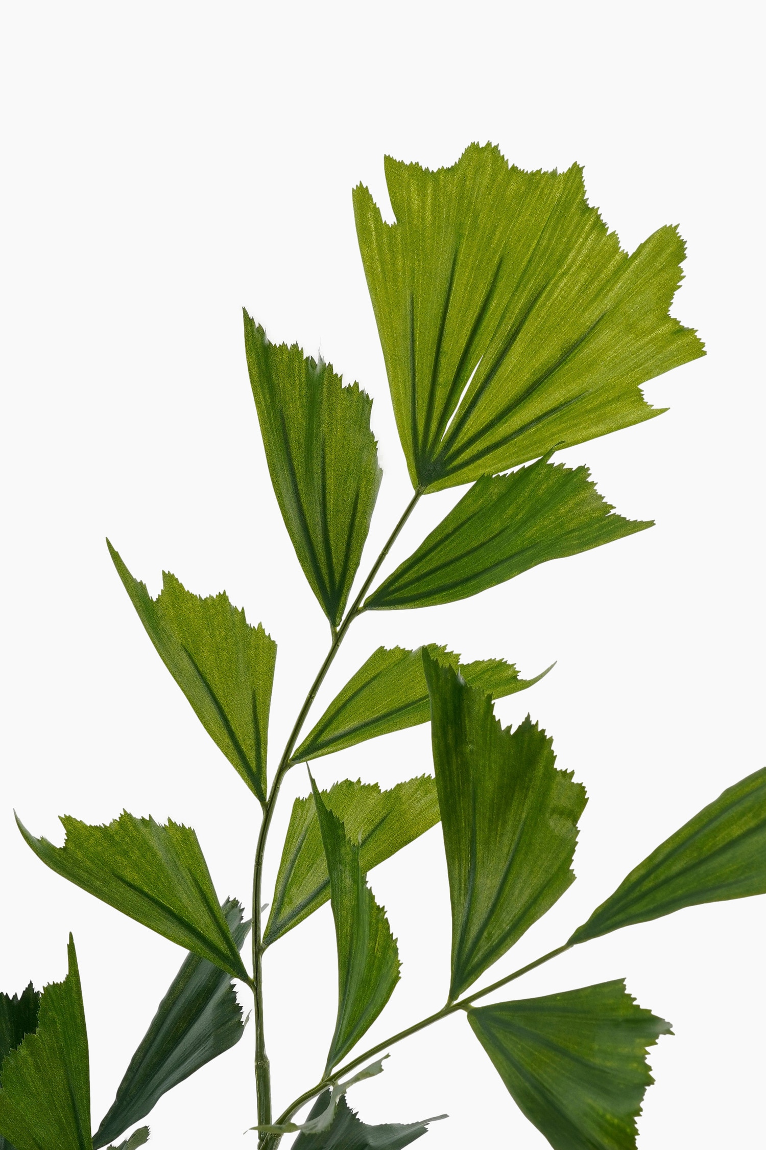 Vissenstaartpalm Kunstplant - Groen