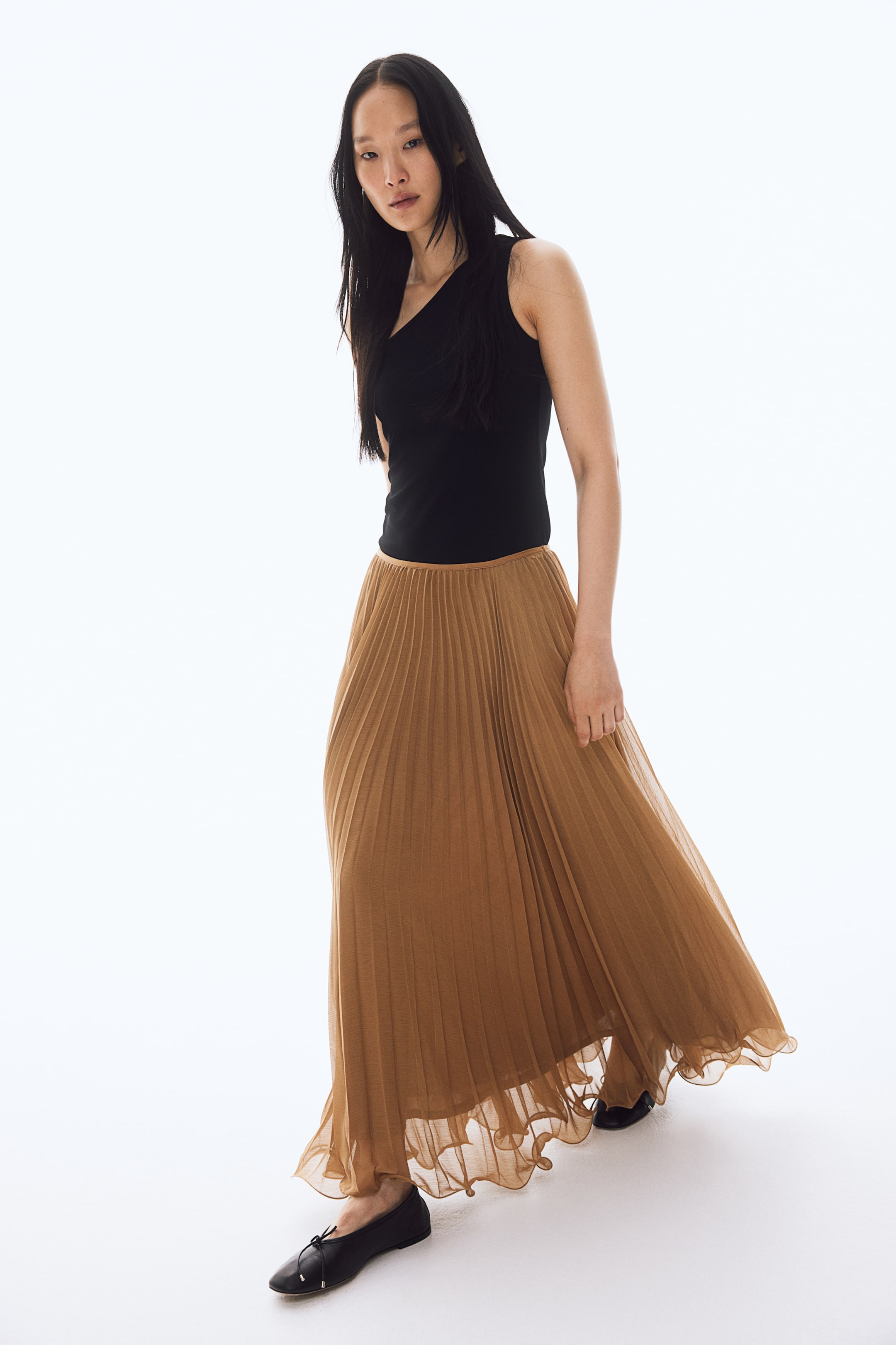 Sheer Pleated Skirt