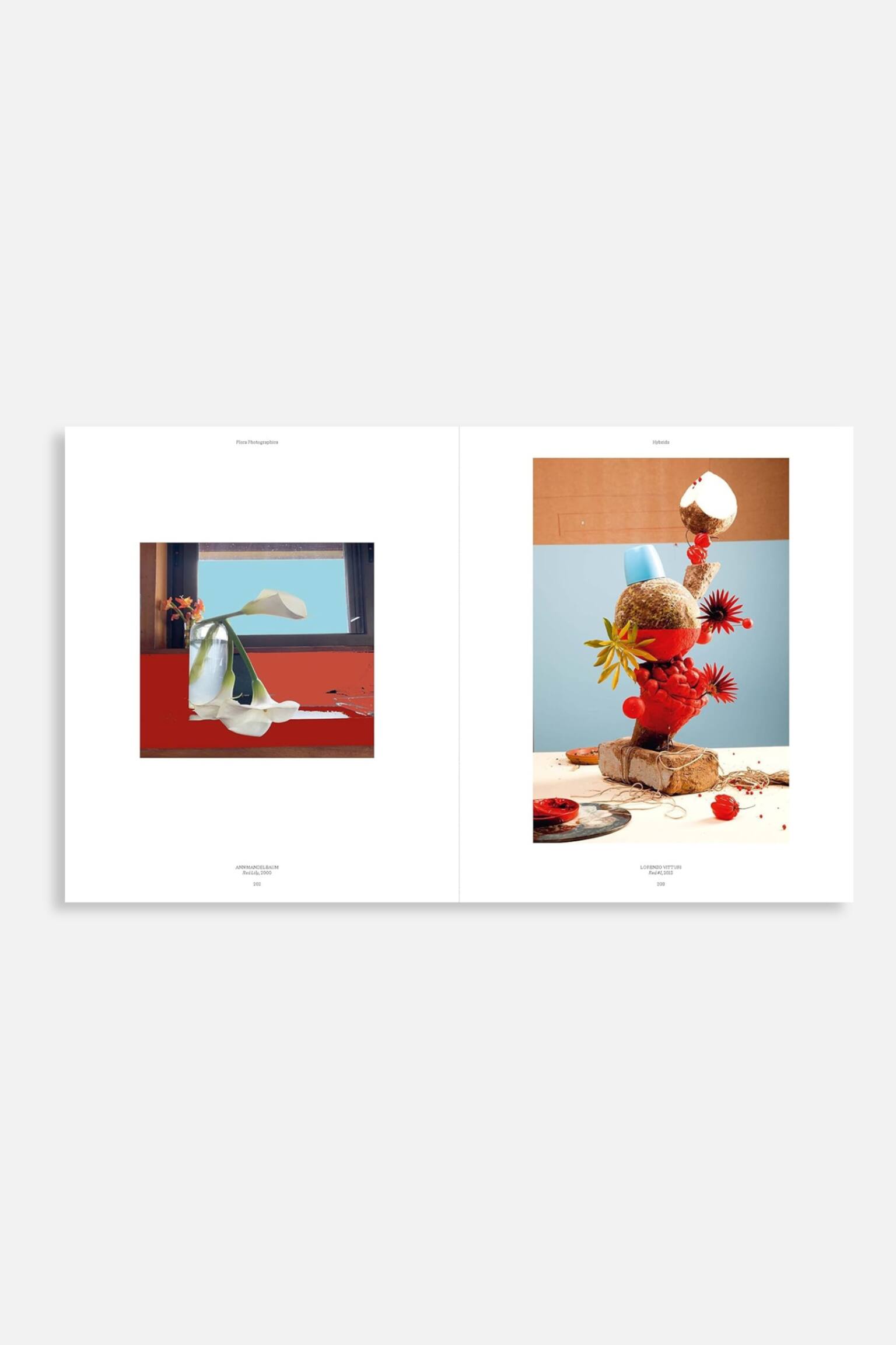 Flora Photographica - Flora Photographica - 3