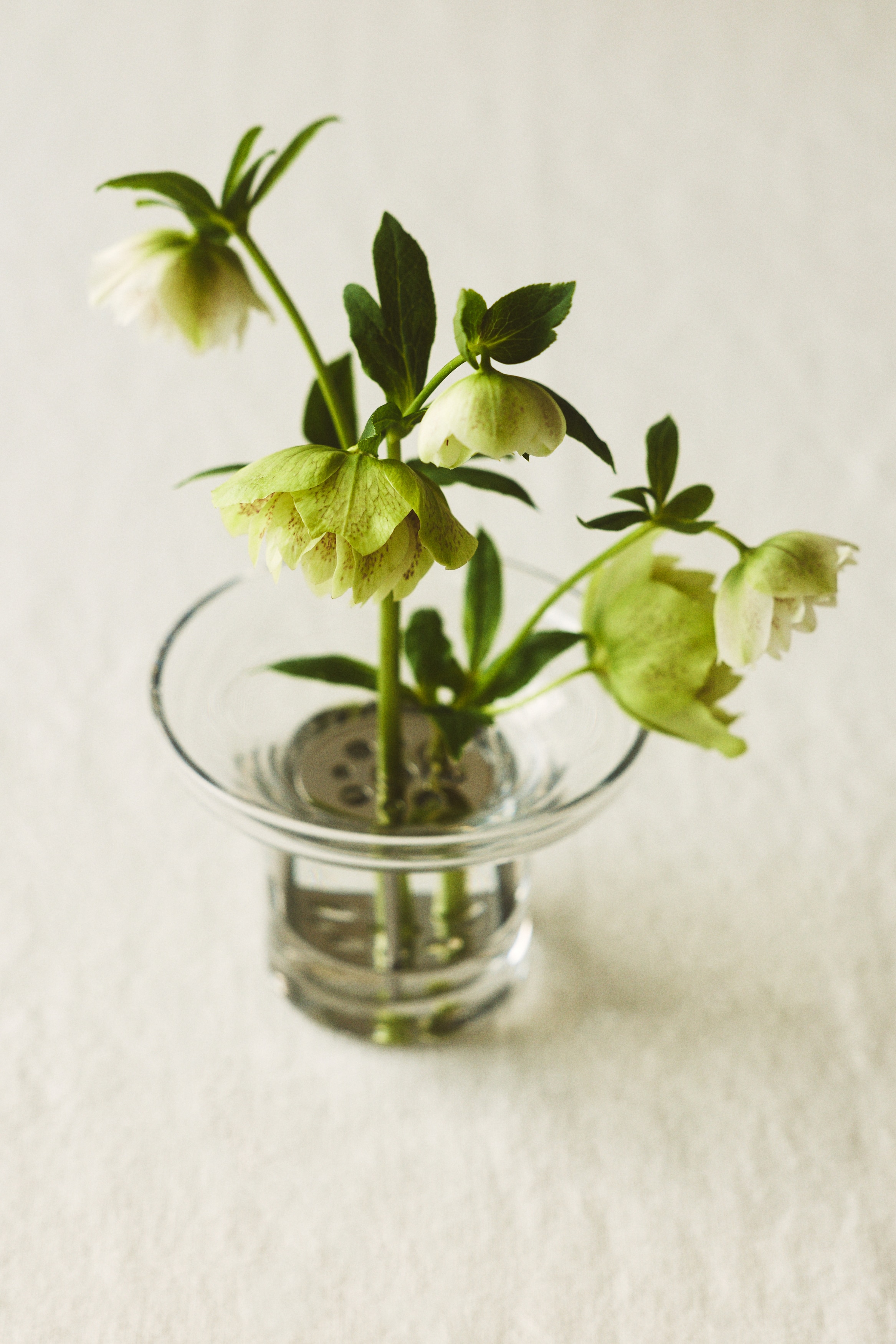 Liten ikebana-vas i glas - Transparent/Silver