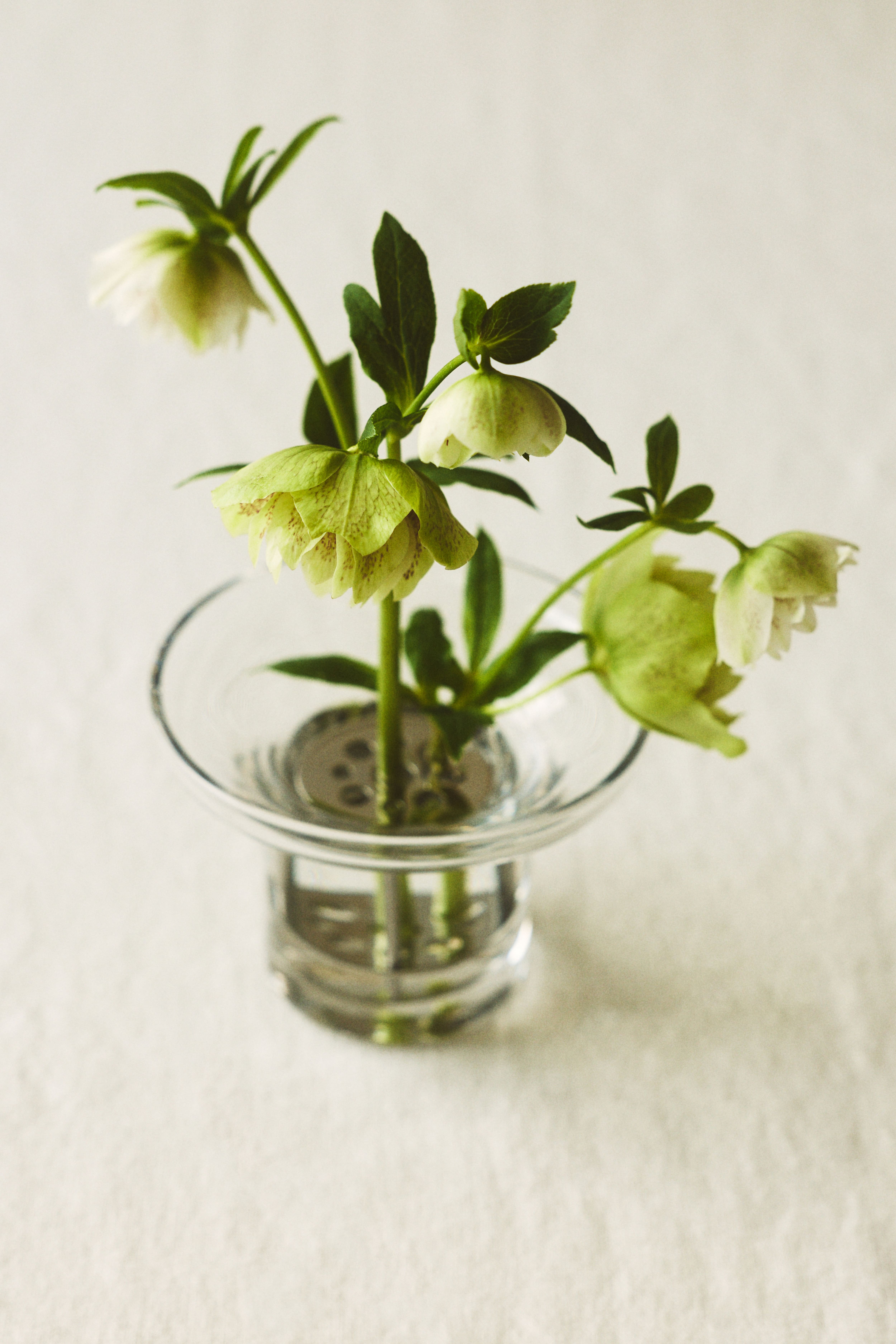 Small Glass Ikebana Vase