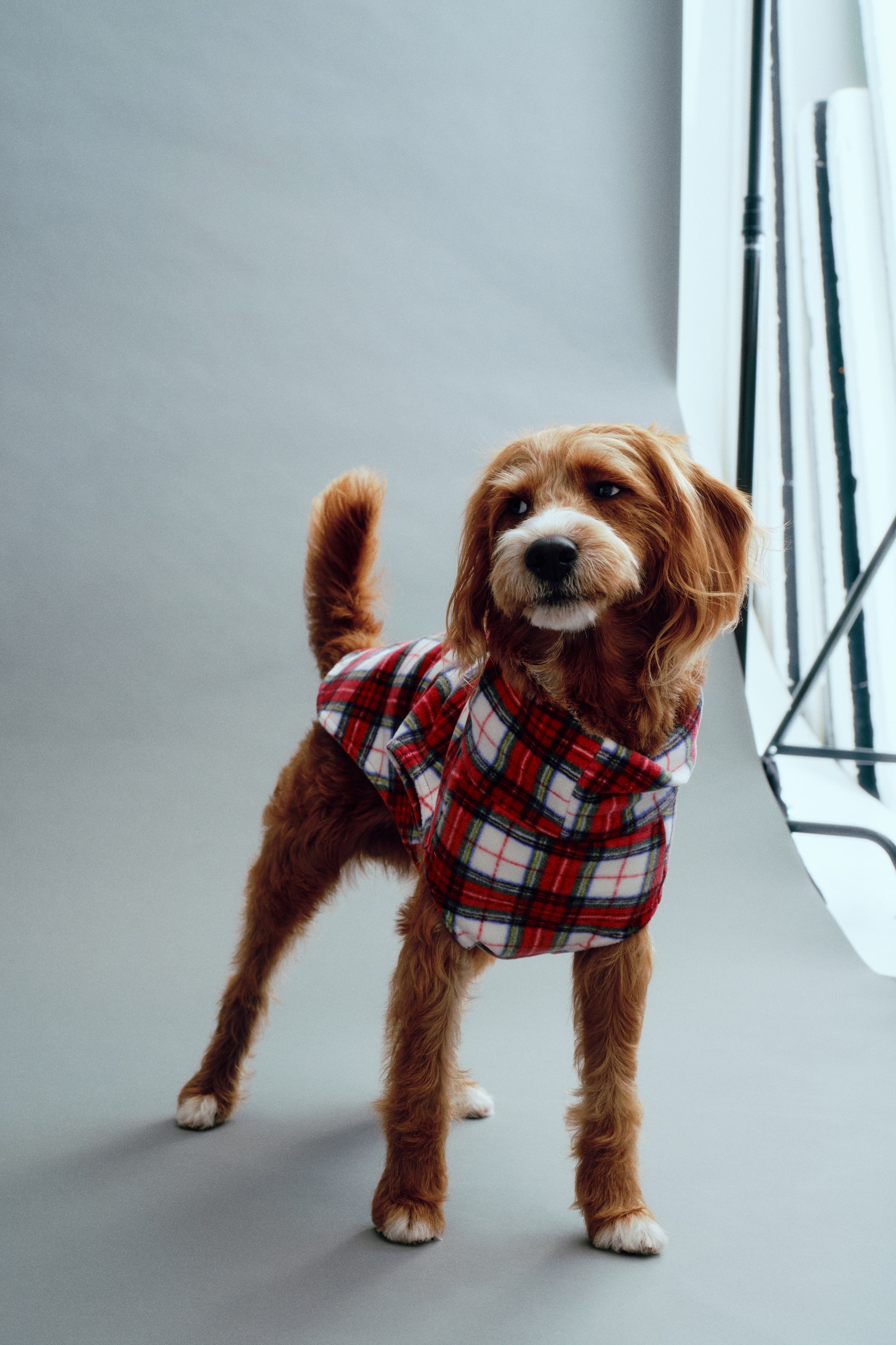 View larger image: Fleece dog top - Red/Checked | H&M 1