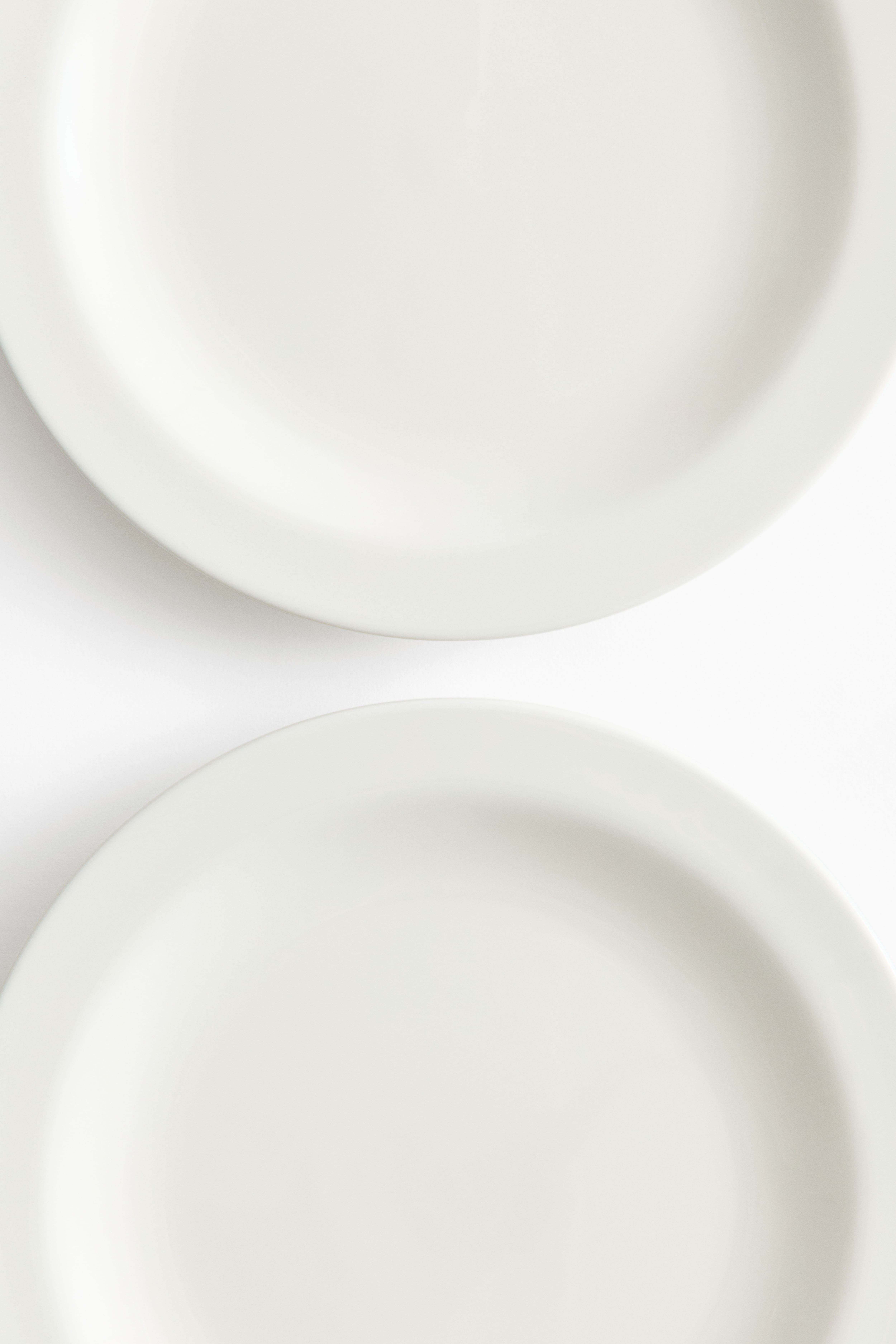 Lot de 2 grandes assiettes en porcelaine