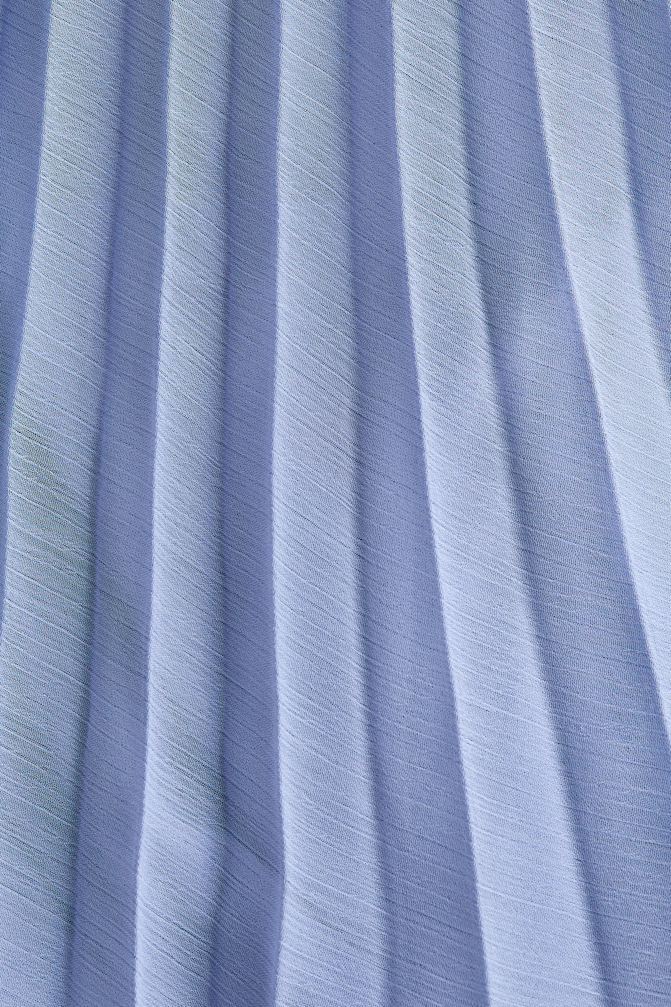 Sheer Pleated Skirt