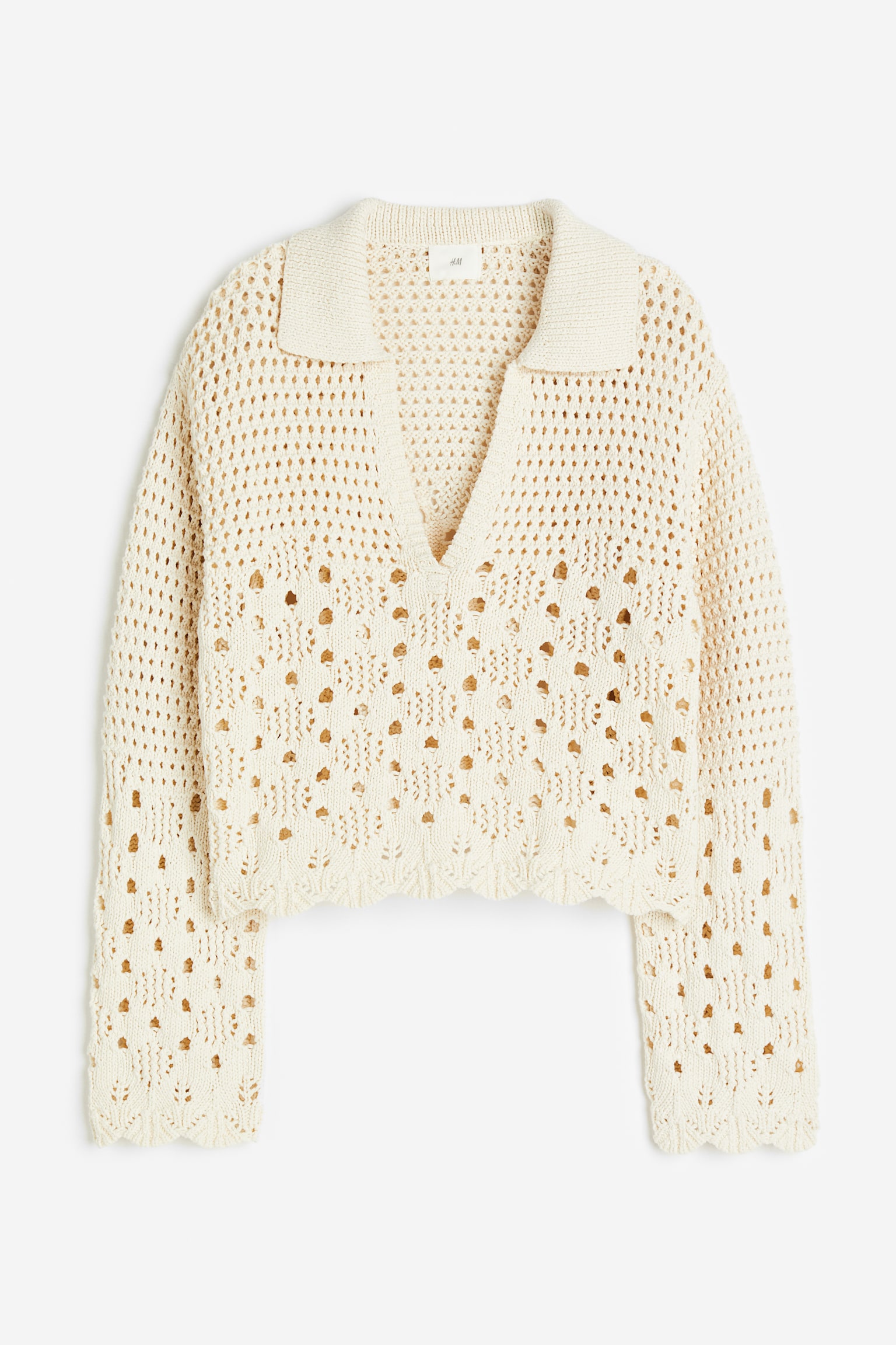 Pointelle Knit Cotton Sweater - Cream - 5