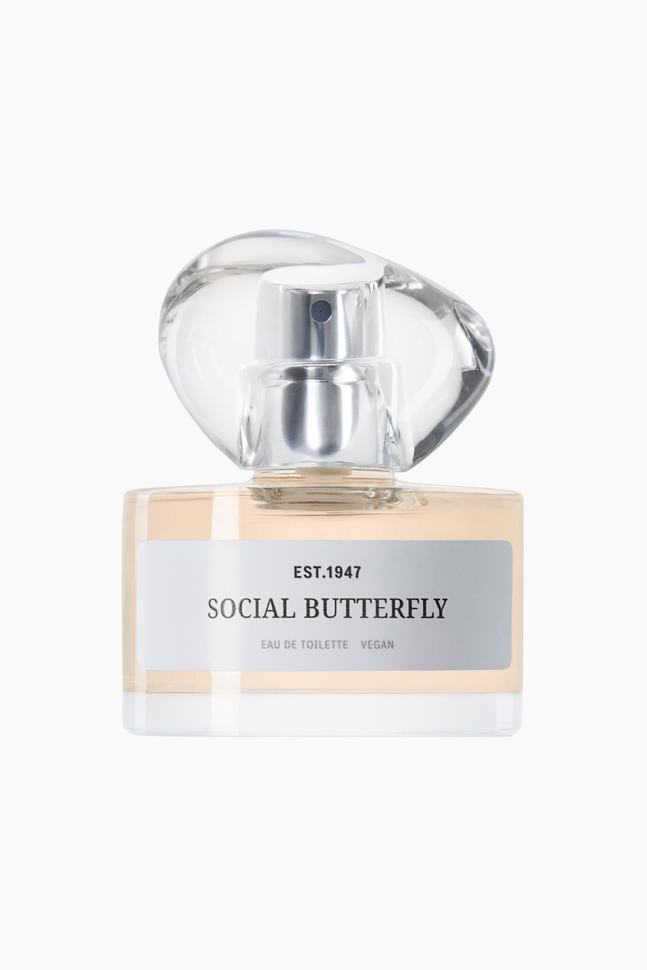 Social Butterfly Fragrance - image 3