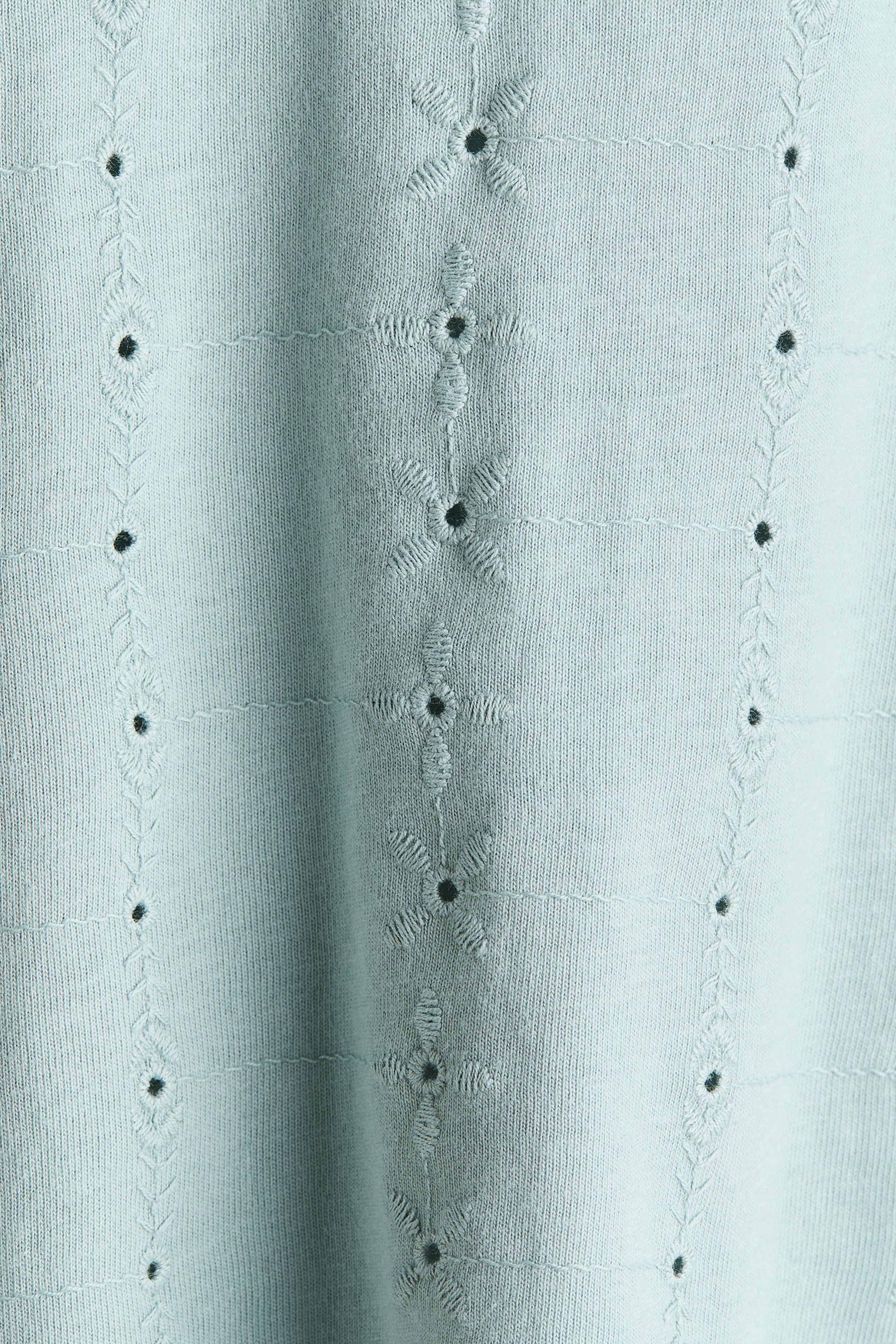 H&M Flutter-Sleeve Dress with Eyelet Embroidery | Pacific City
