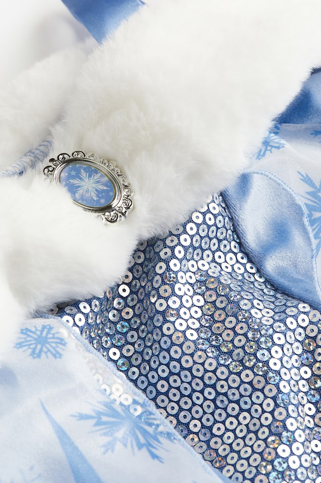 Frozen fancy dress costume - Blue/Frozen - 2