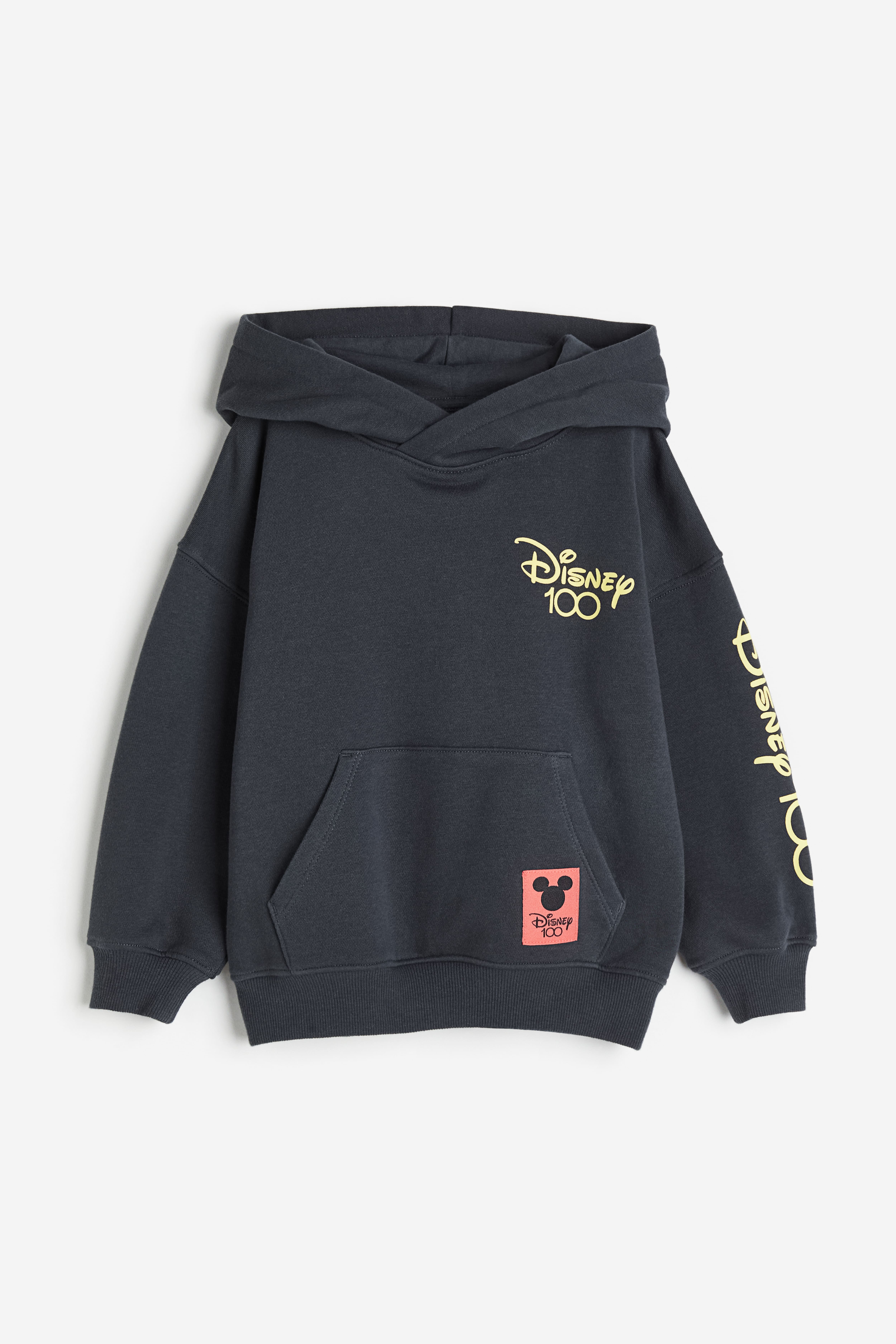 Disney 100 shops hoodie