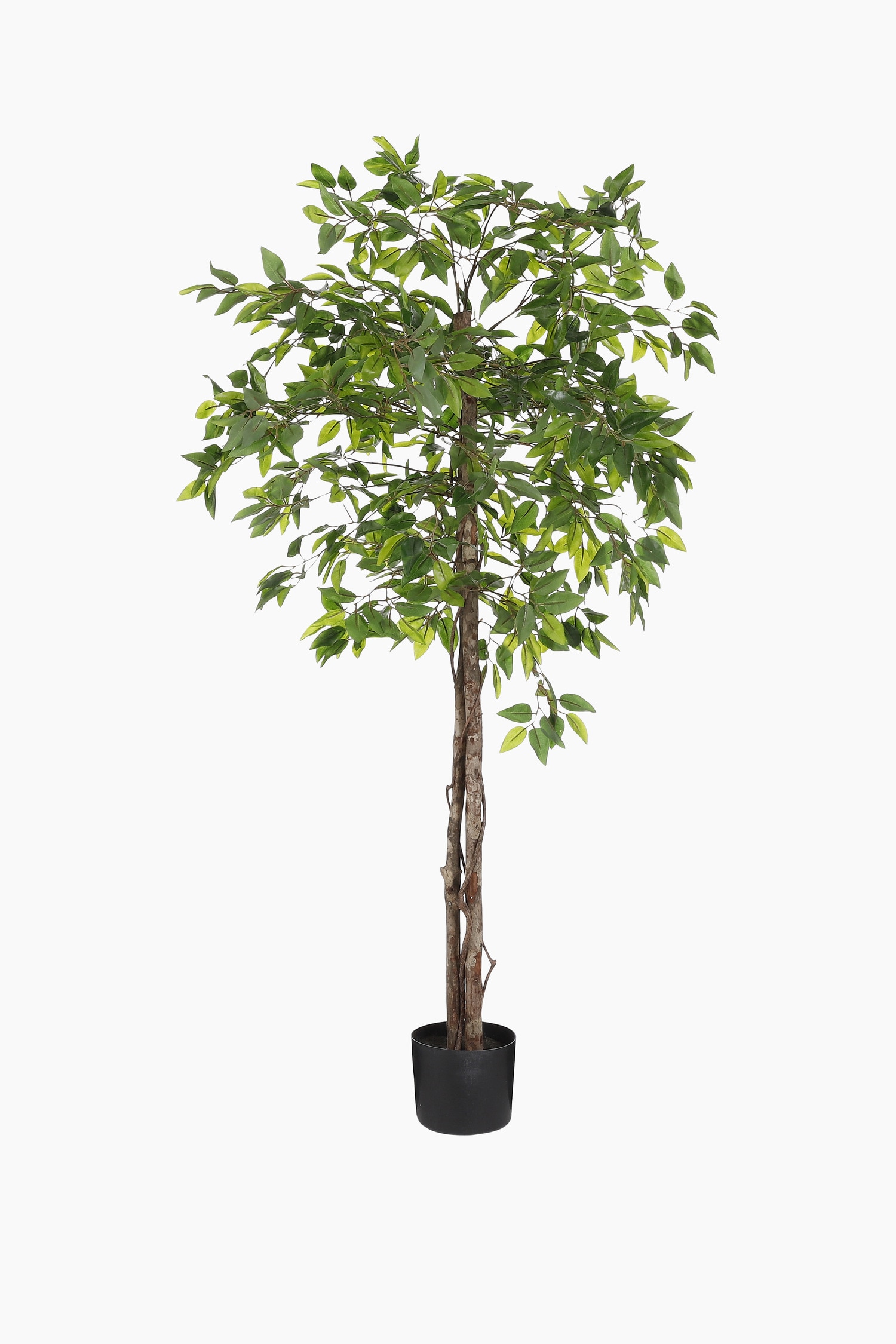 Mica Decorations - Planta Artificial De Ficus - Verde