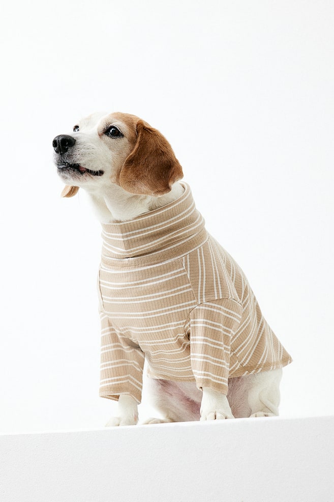 Polo-neck dog jumper - Beige/Striped/Black/Striped - 1