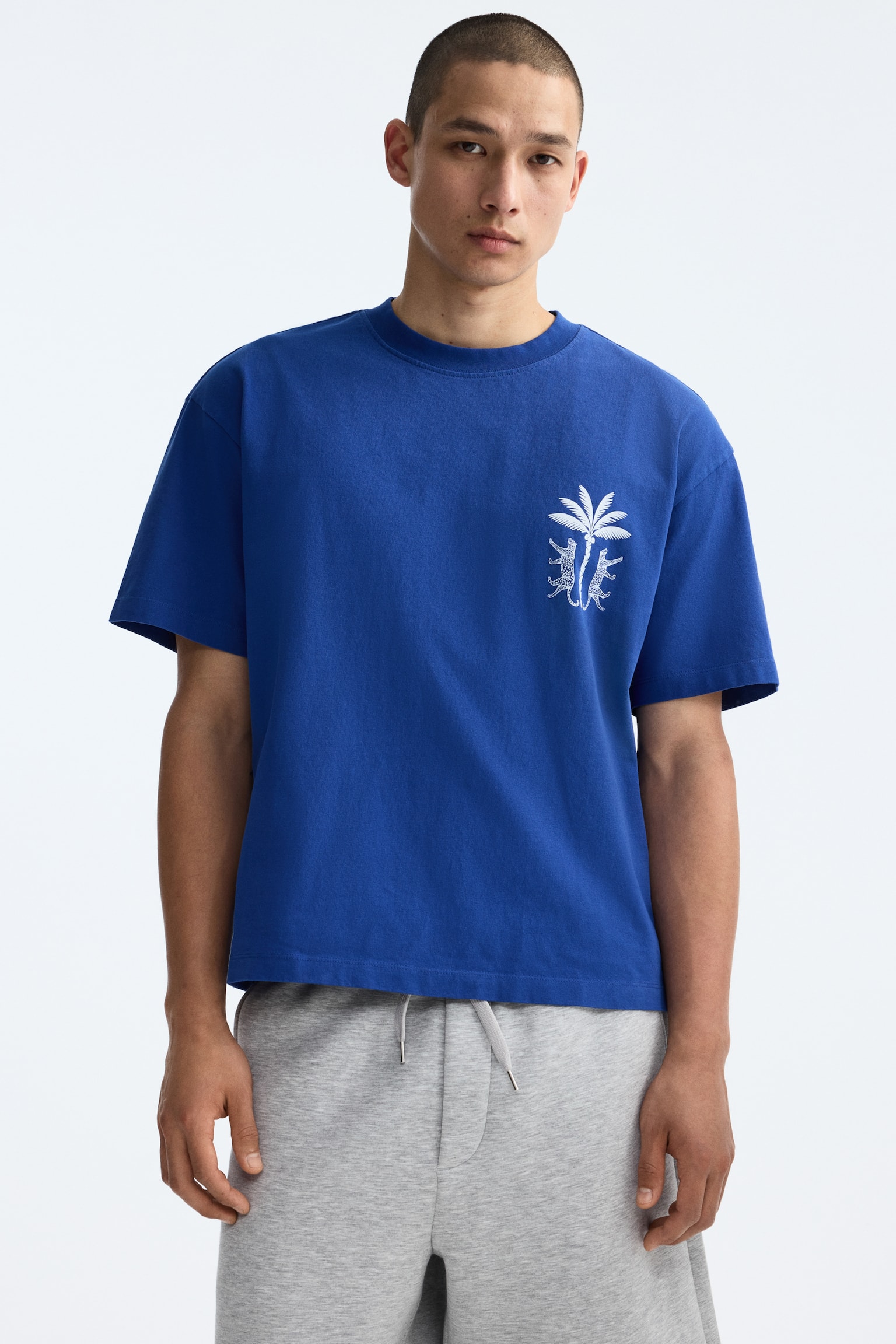 T-shirt i bomull med tryck Relaxed Fit - Blå/Hotel Imaginaire/Ljusgul/Paradis/Svart/Paradis - 1